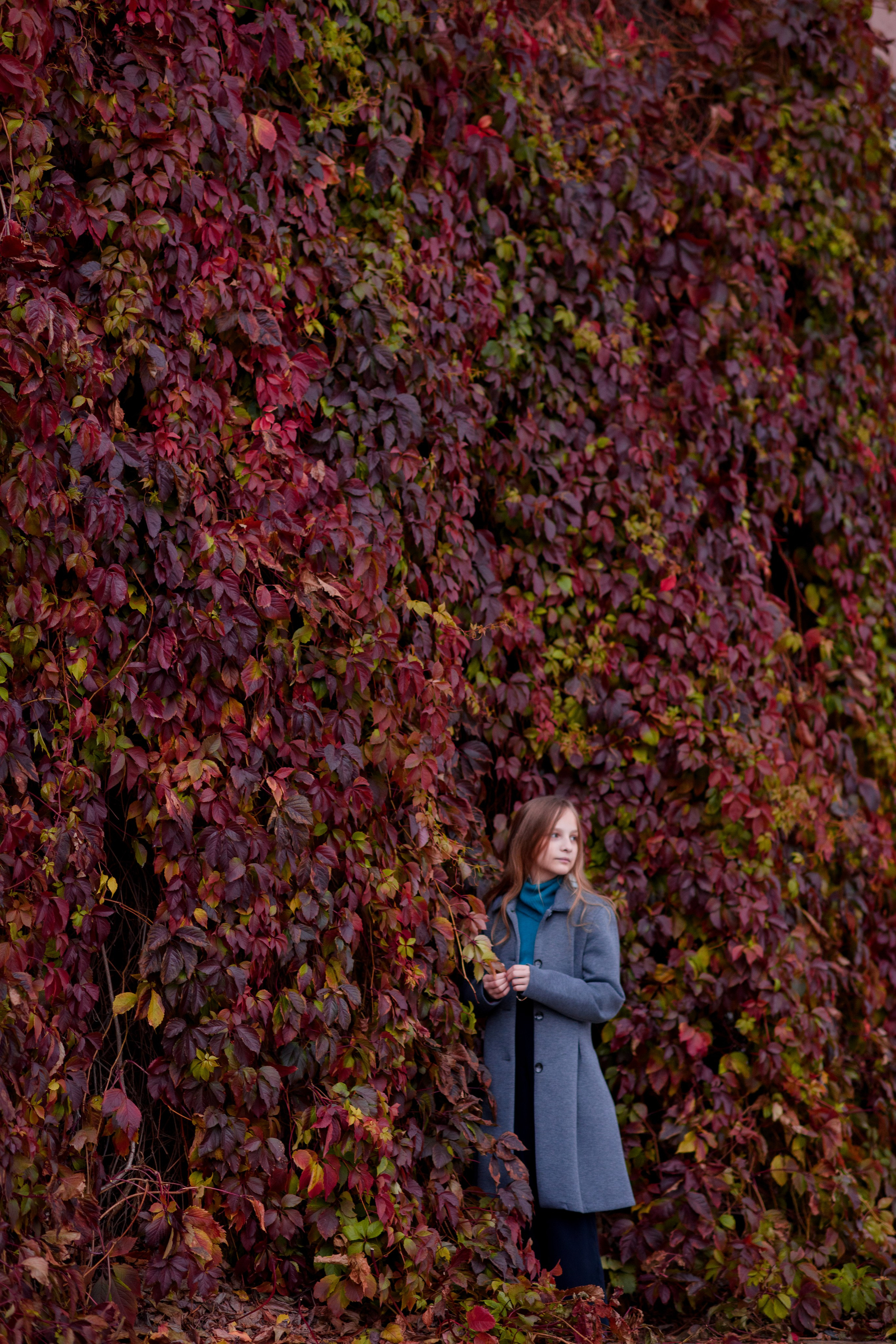 Фотосессия на фоне красного дикого винограда. Главная