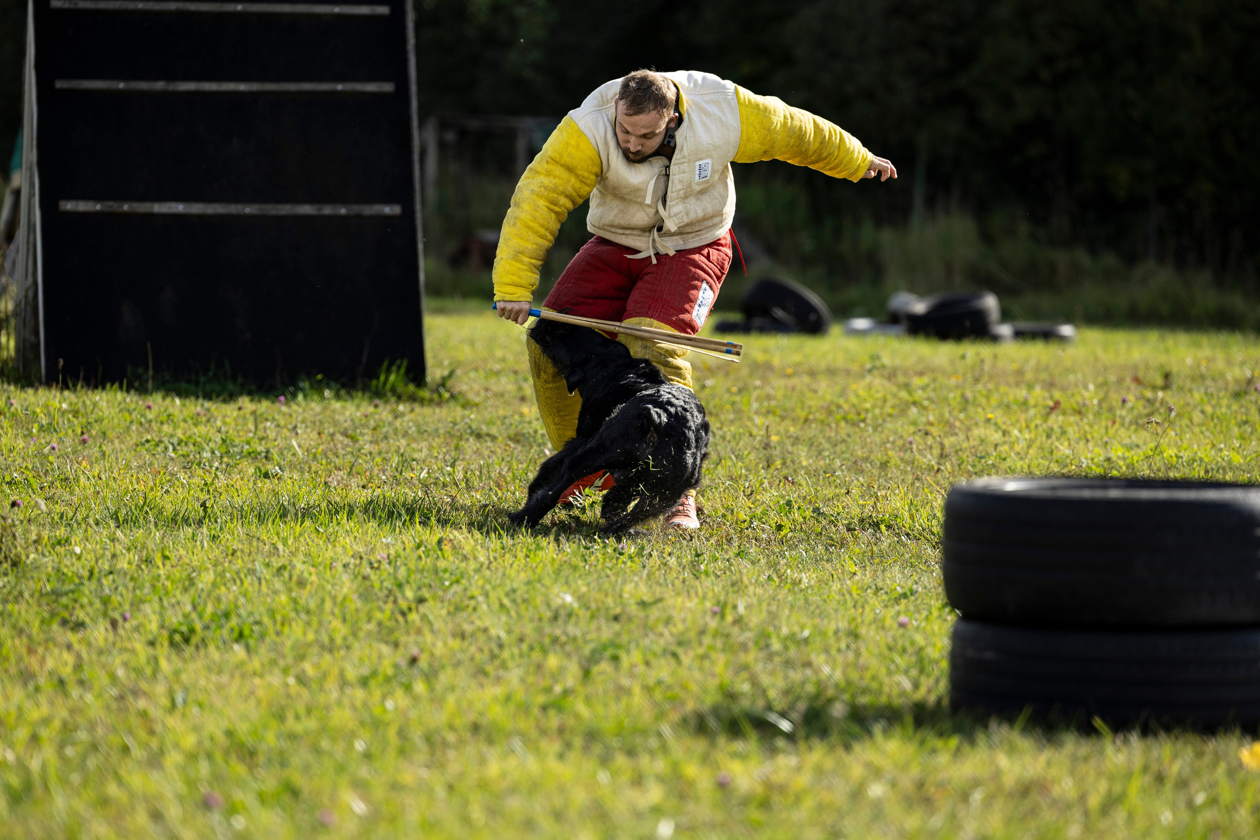 Испытания по Мондьорингу г. Пушкин. Фотограф-анималист Анна Маринич