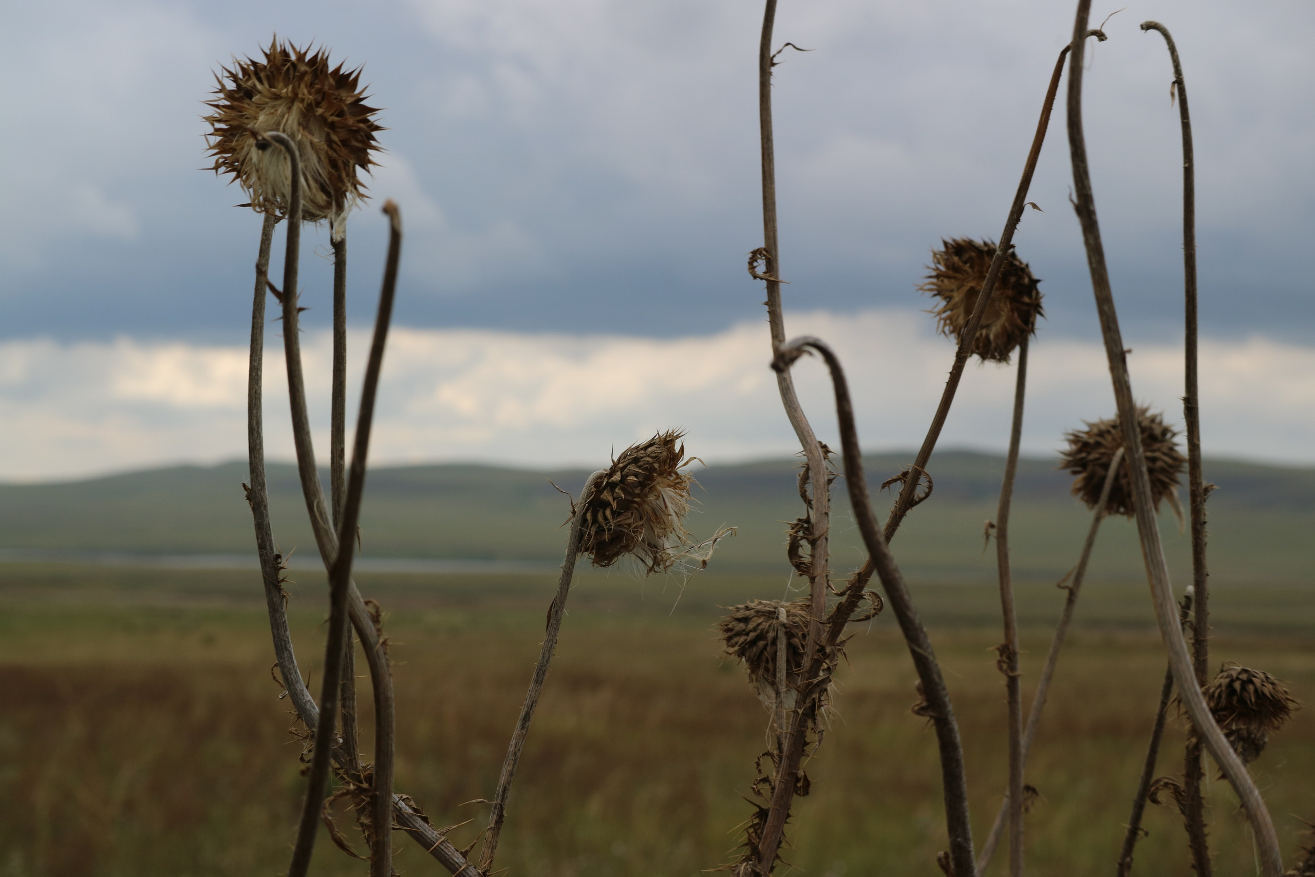 Travels. Репортажный и тревел фотограф Мокеров А.С