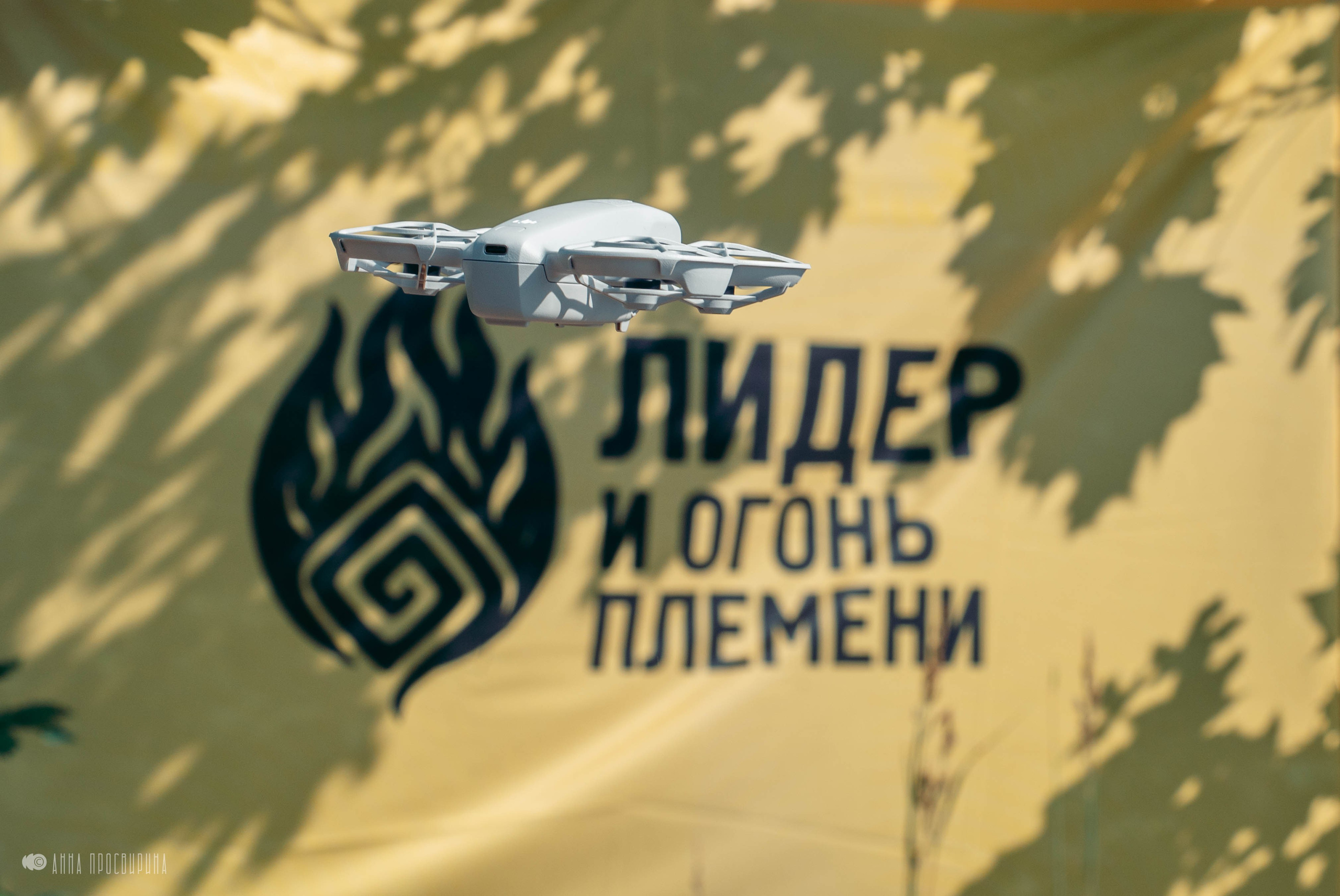 Бизнес-ретрит на Ладоге. Ваш фотограф в Санкт-Петербурге Анна Просвирина
