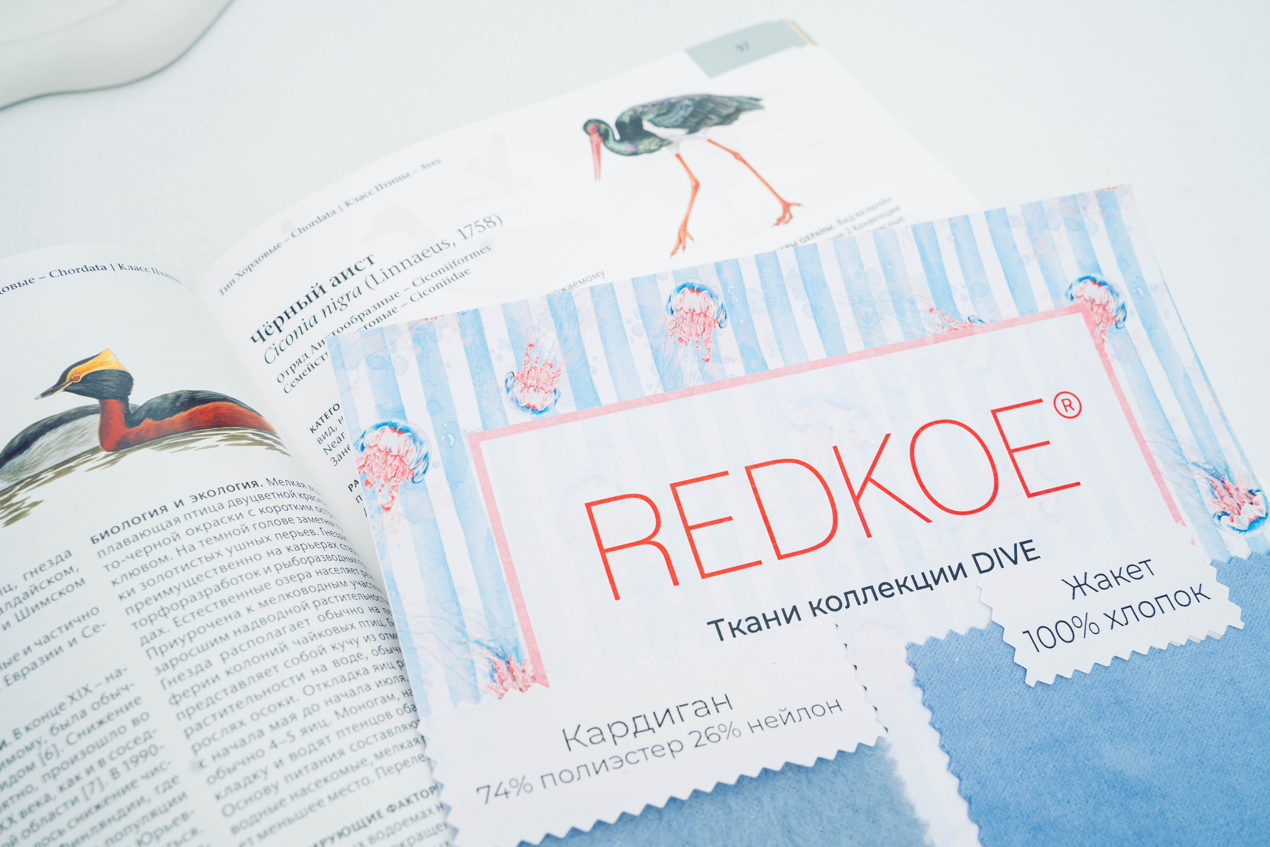Презентация коллекции DIVE, бренд REDKOE. Ваш фотограф в Санкт-Петербурге Анна Просвирина