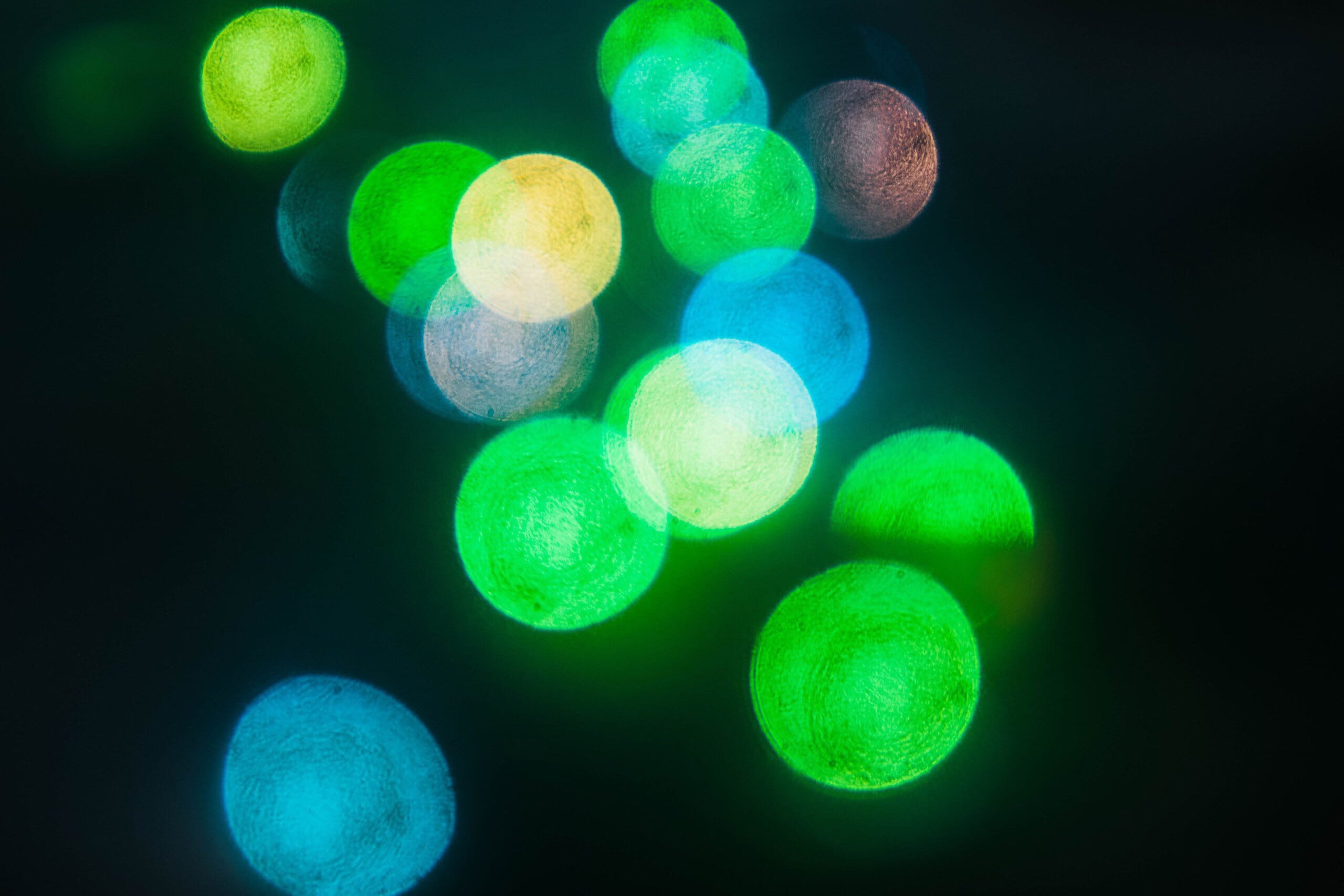 Uh, Bokeh!. Felixtones