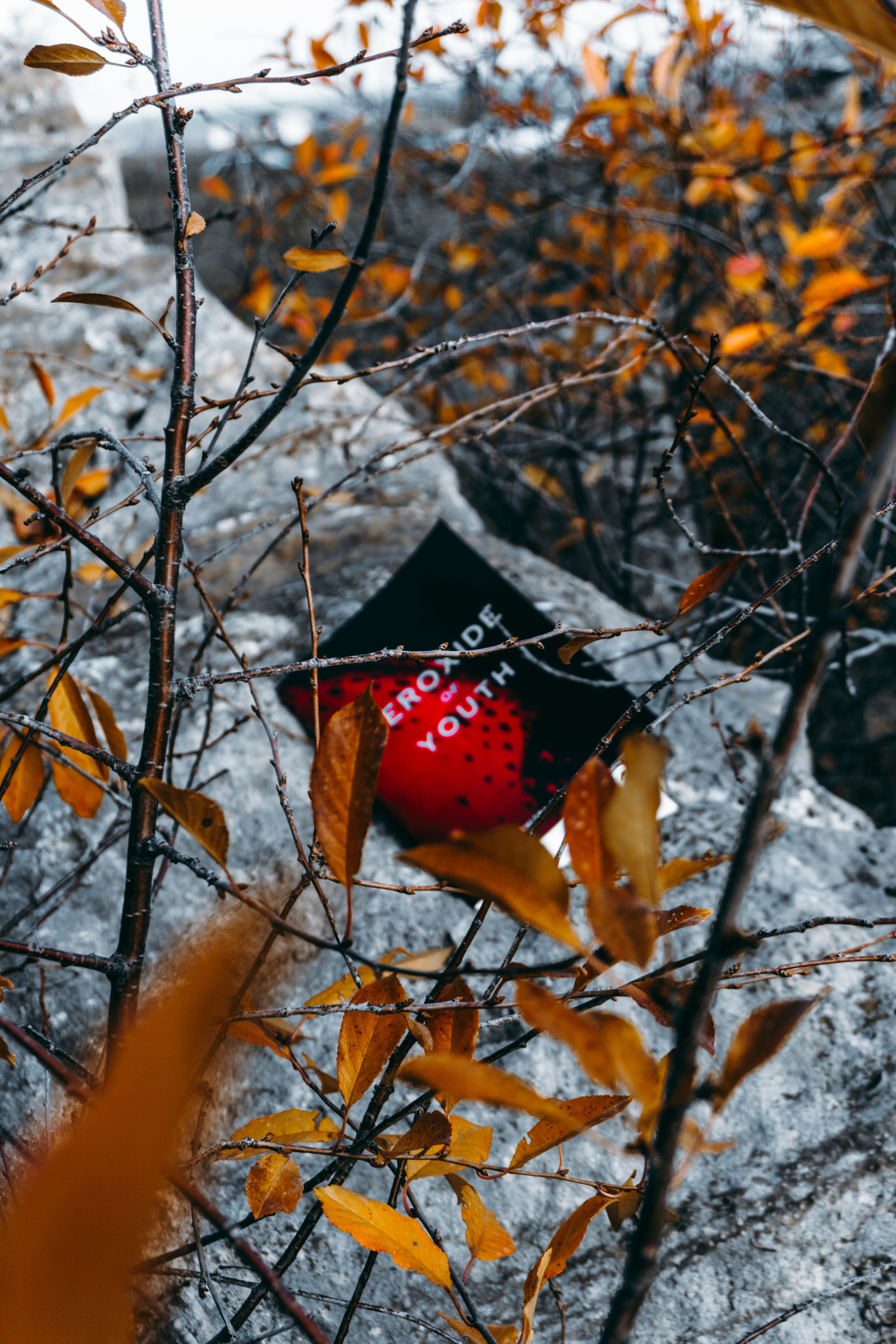 Peroxide of Youth & 5 Sacramentum / 2021-2022. Felixtones