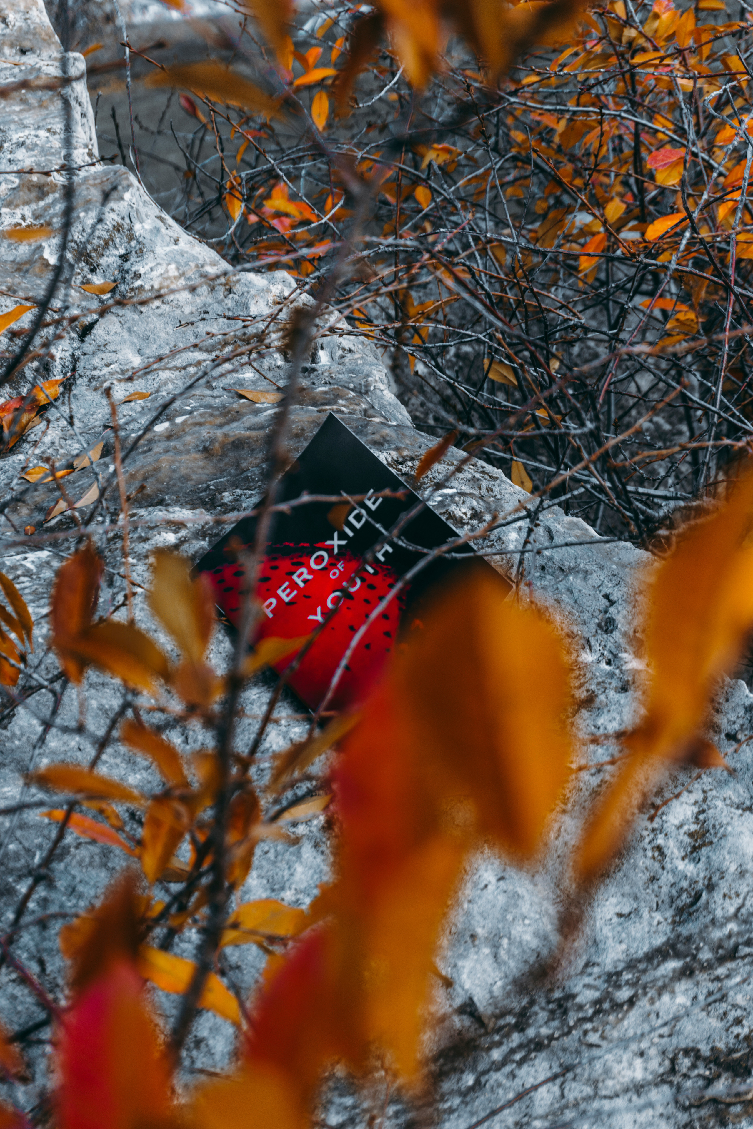 Peroxide of Youth & 5 Sacramentum / 2021-2022. Felixtones