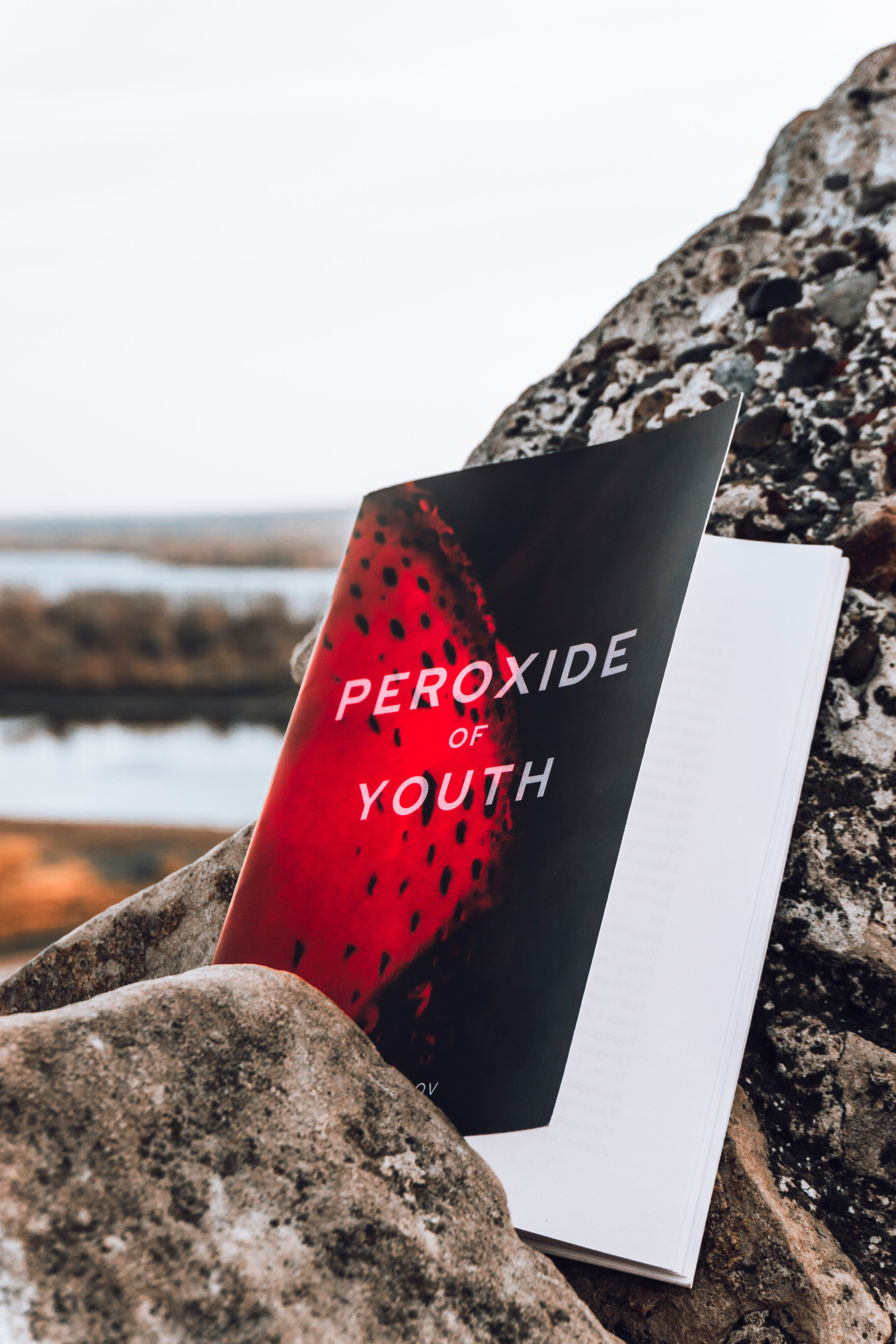 Peroxide of Youth & 5 Sacramentum / 2021-2022. Felixtones