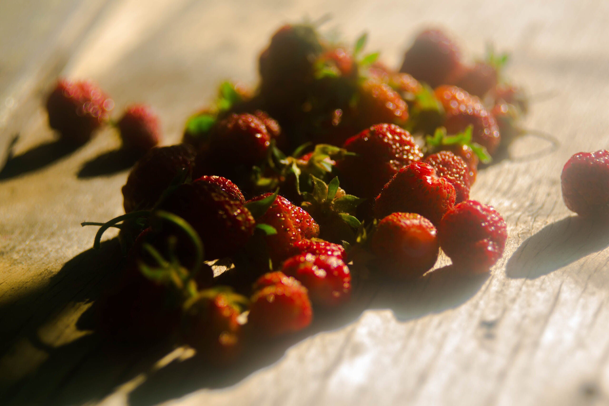 Summer Time & Gelendzhik (2018). Felixtones