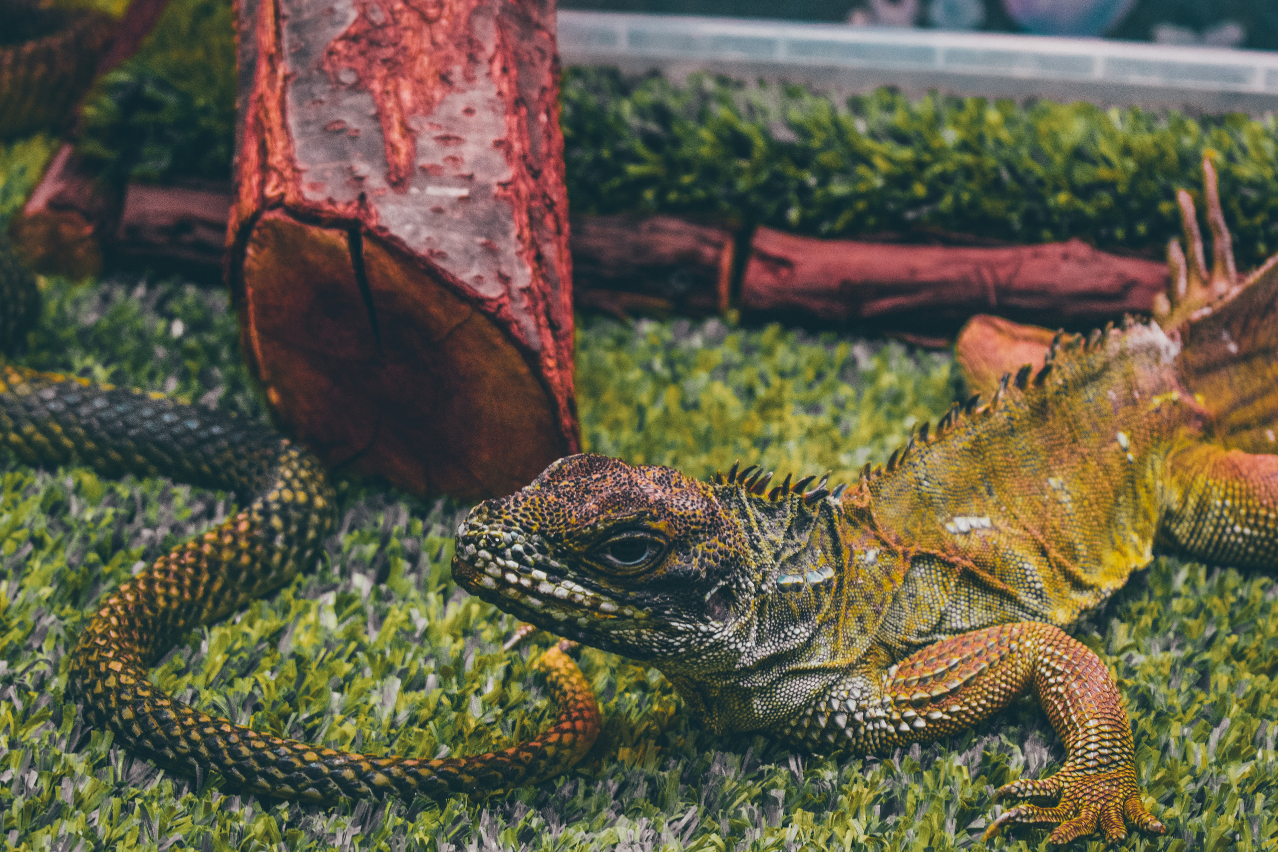 Summer Time & Gelendzhik (2018). Felixtones