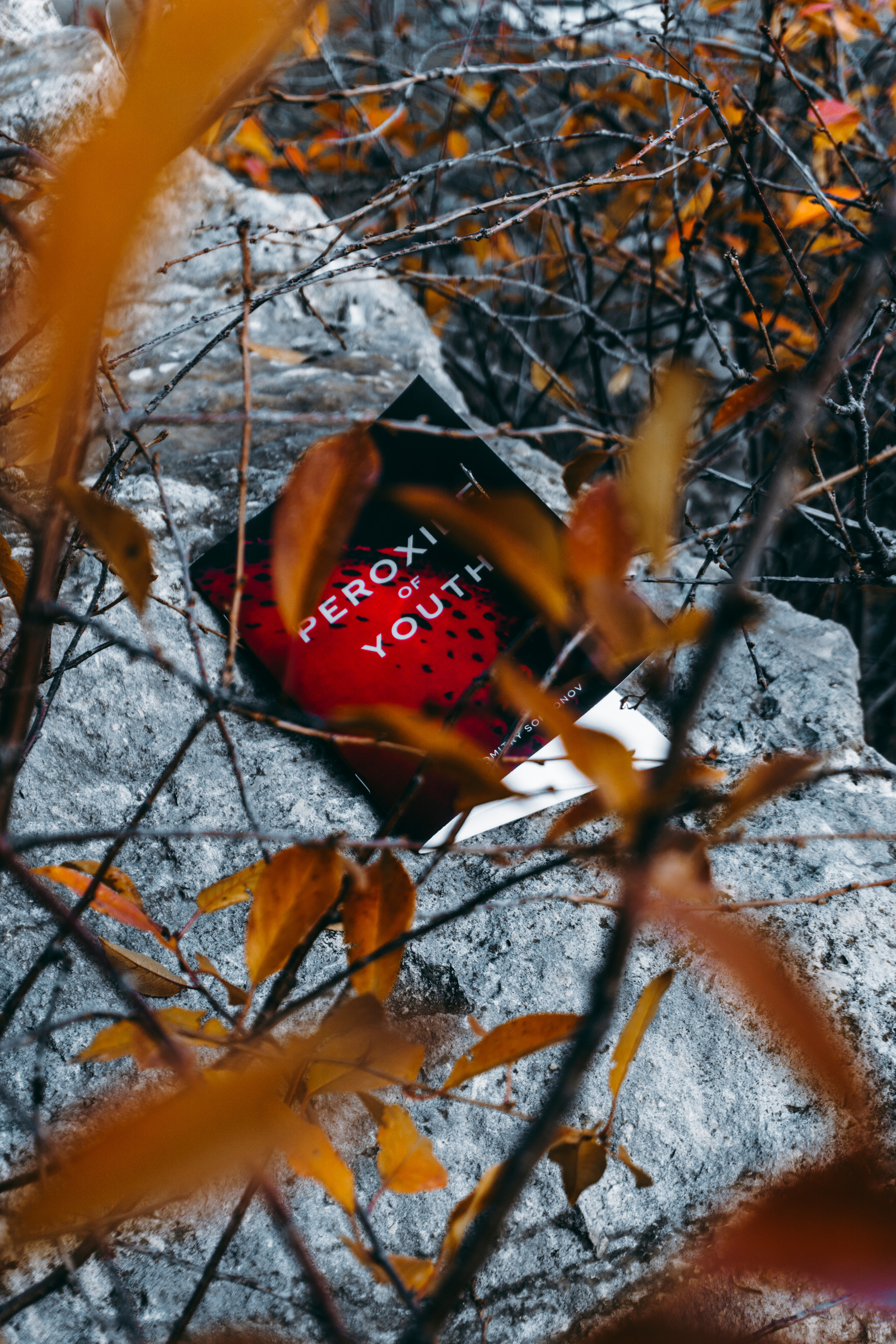 Peroxide of Youth & 5 Sacramentum / 2021-2022. Felixtones