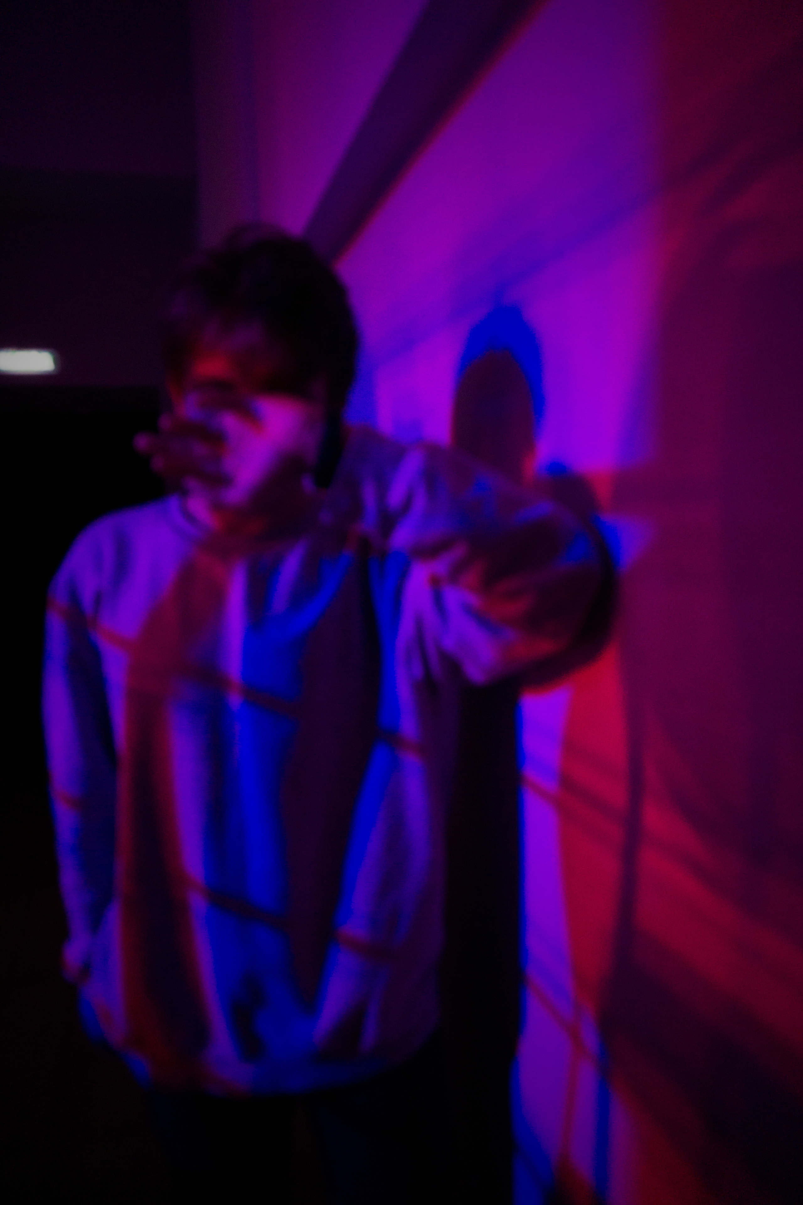 TriD Light / 2019. Felixtones