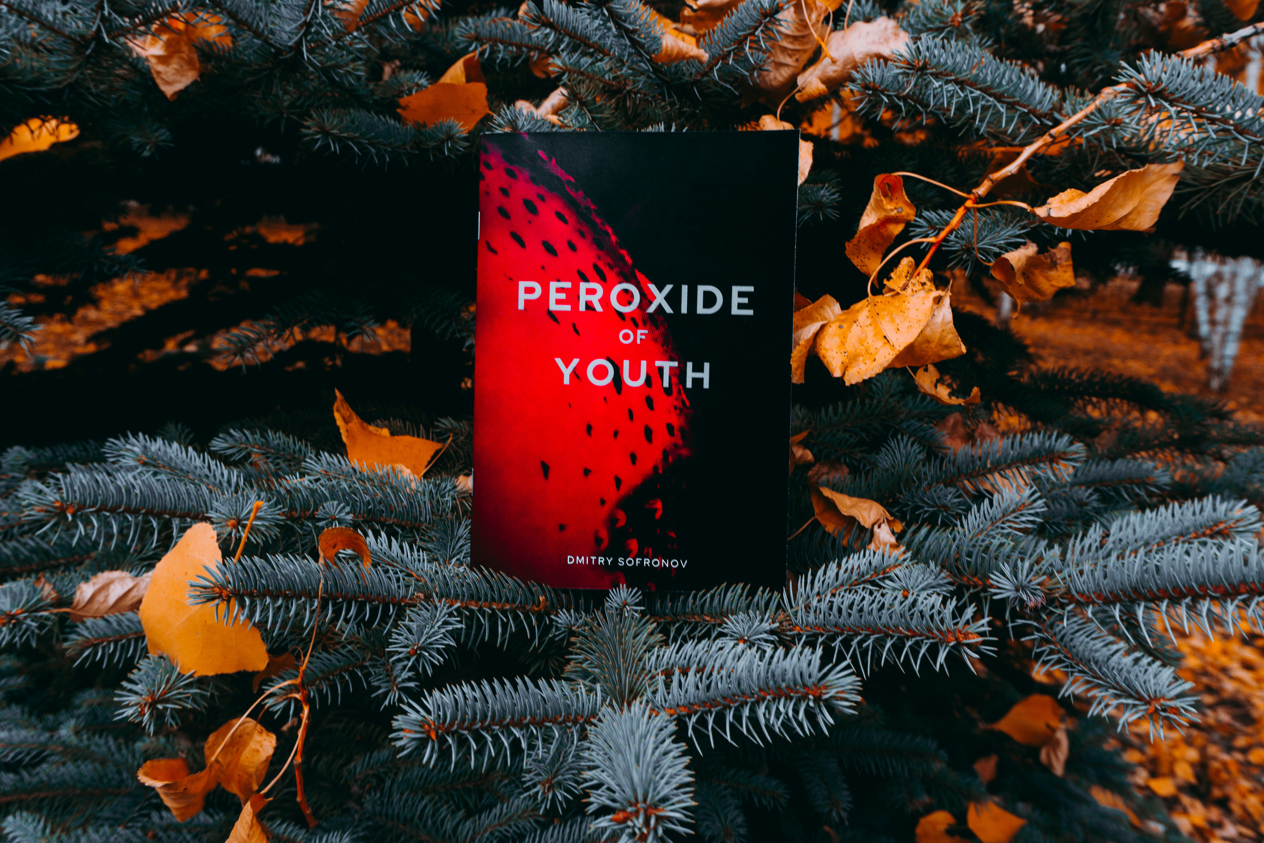 Peroxide of Youth & 5 Sacramentum / 2021-2022. Felixtones