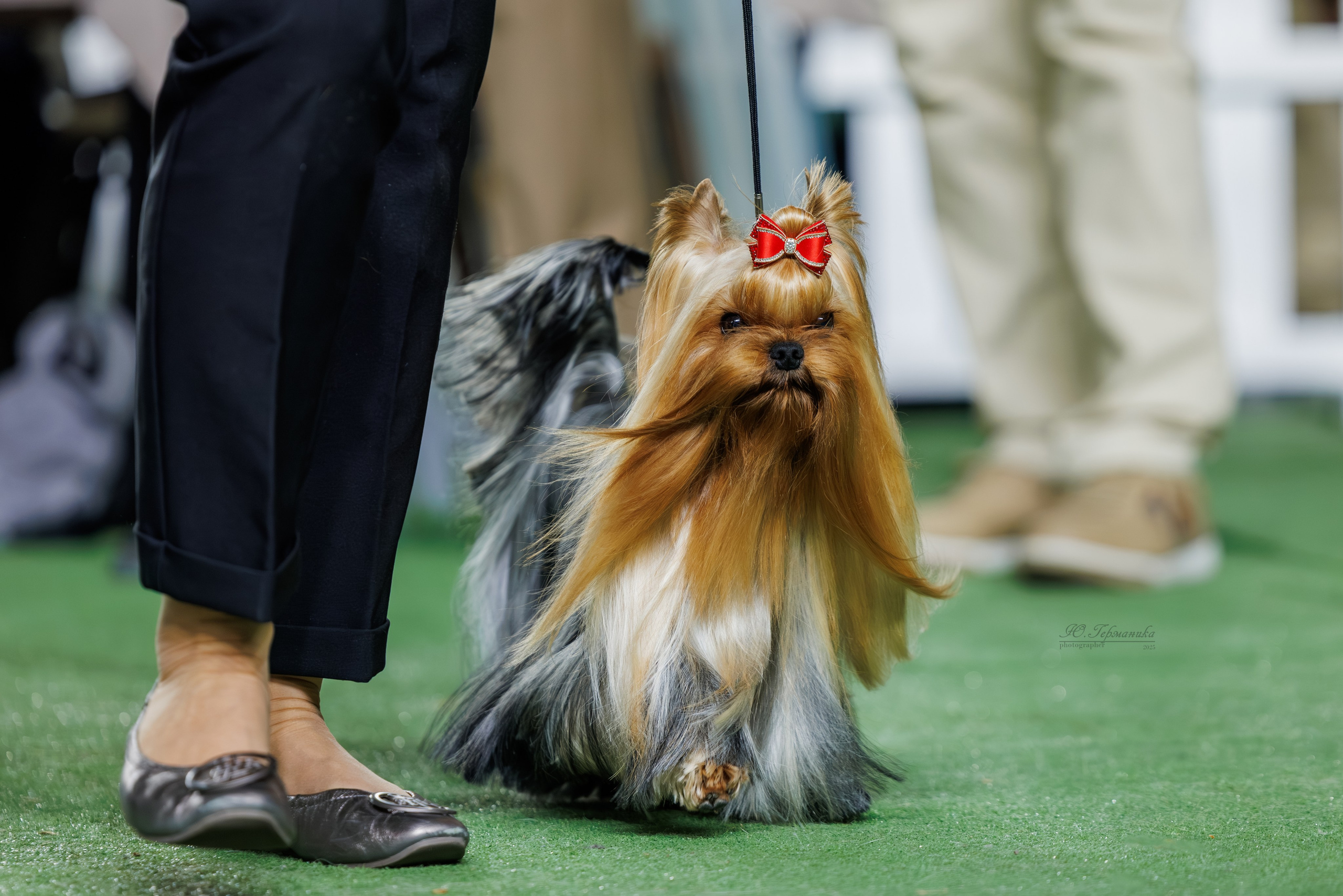 Телави 11-12.10.2025. Фотограф-анималист Юлия Германика