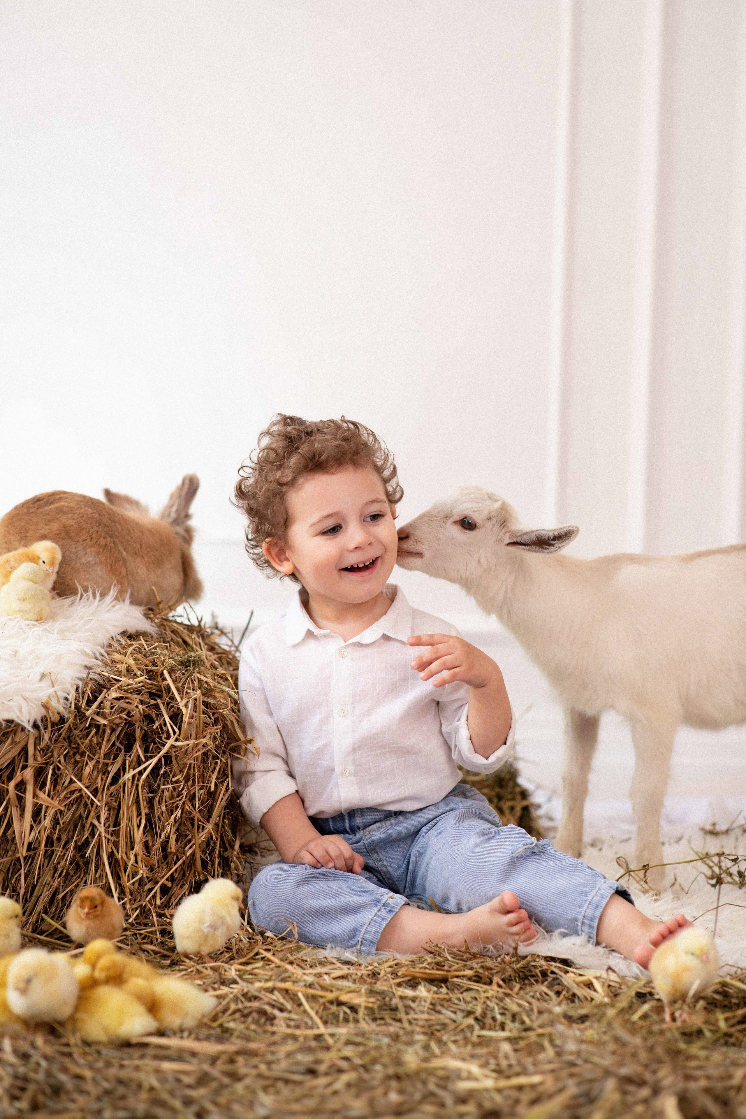 Семейные. Главная