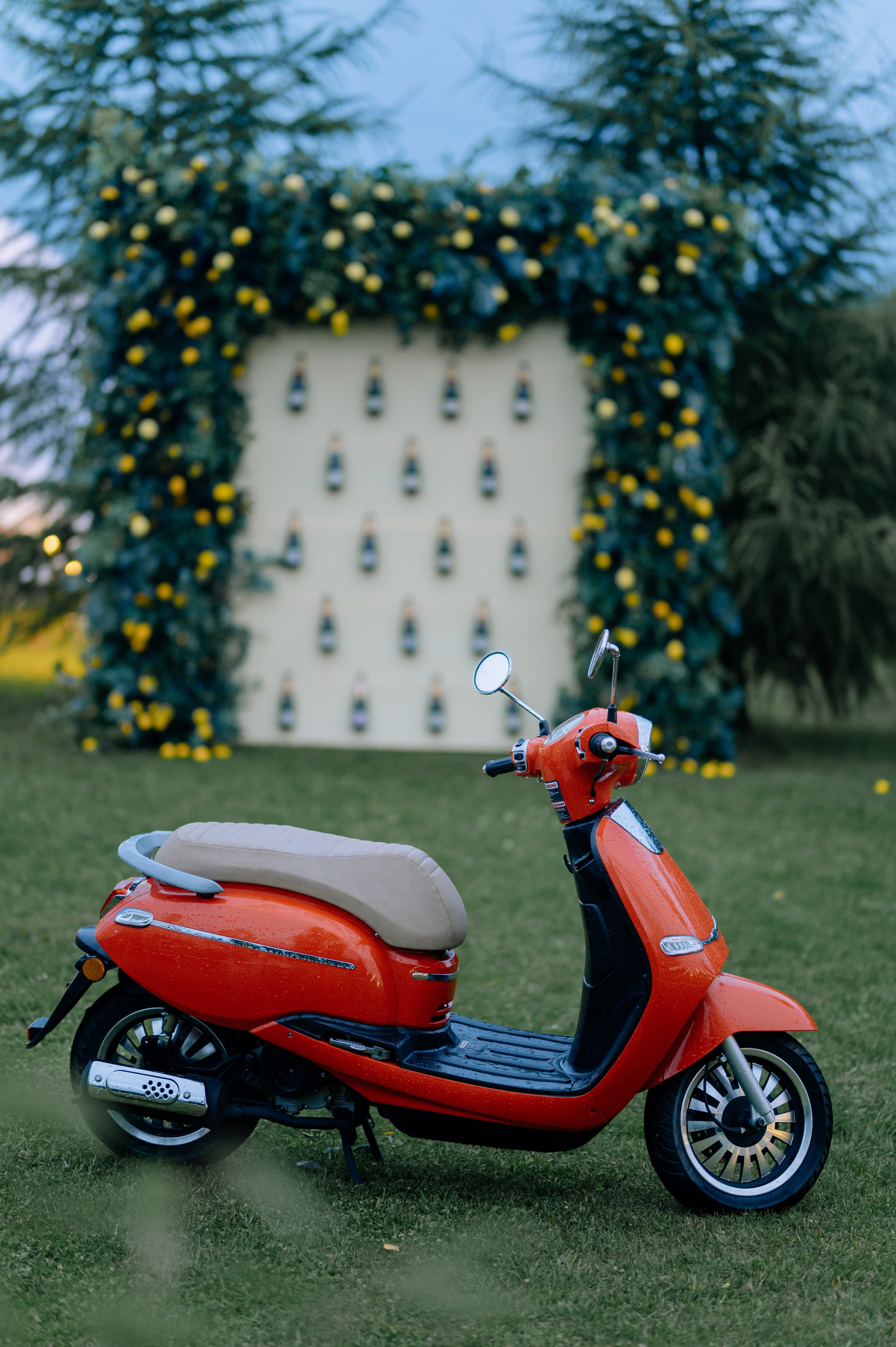 Павел и Элина. Свадебный фотограф Минск, Пинск, Брест, Гродно Чернигов Андрей