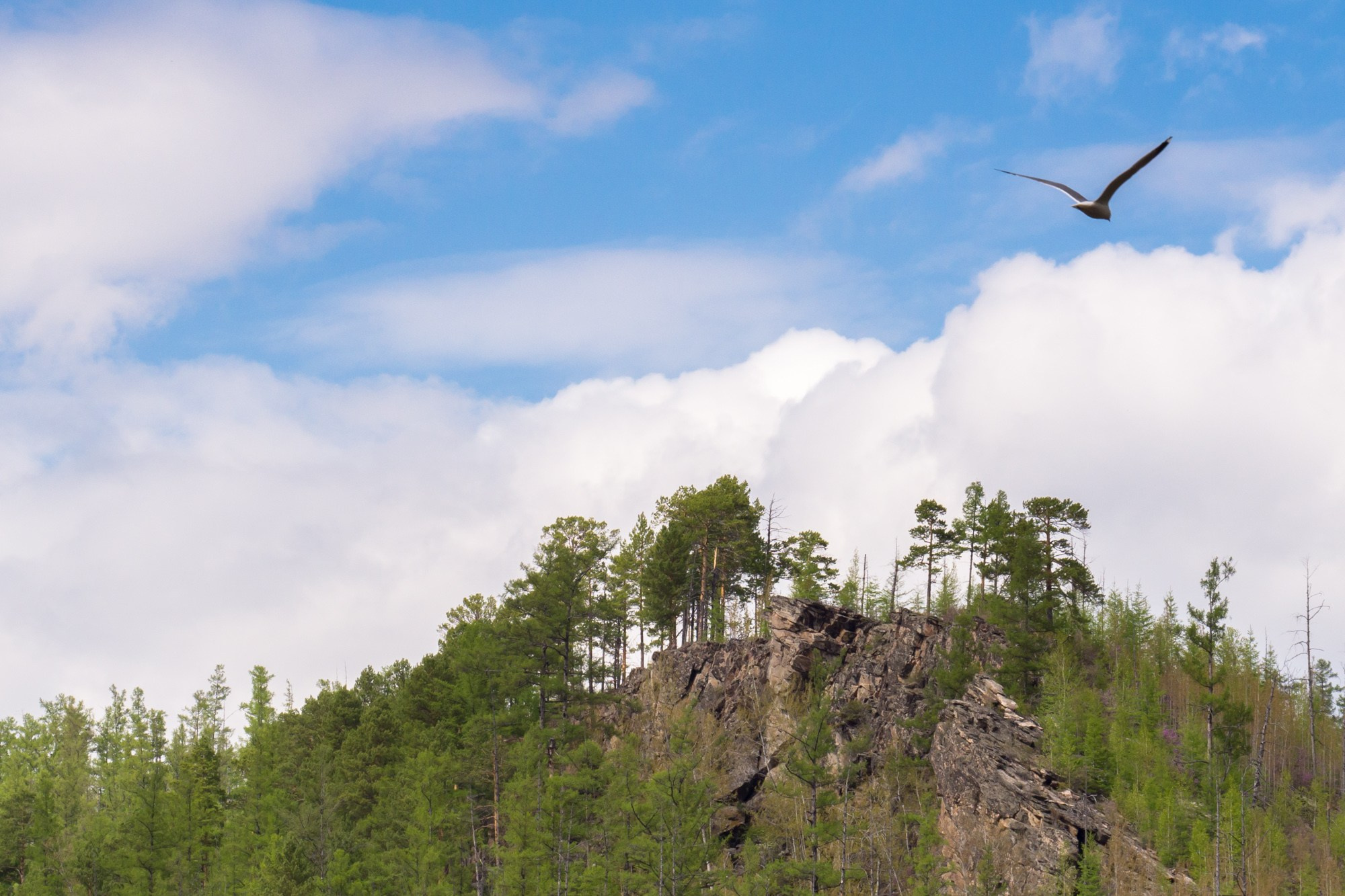 Якутия. Фотограф Алексей Скоробогатько