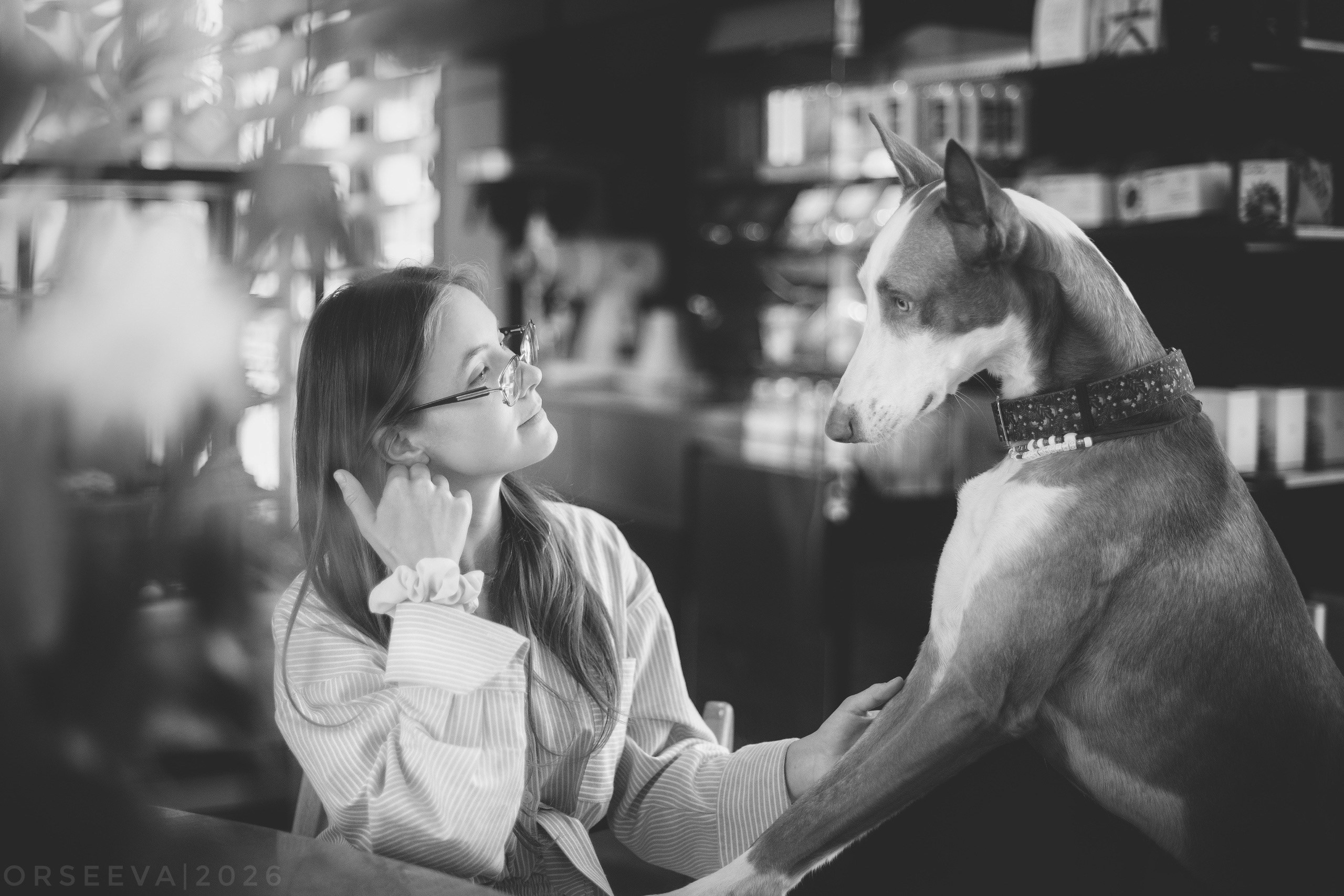 Love story: человек + собака. Фотограф-анималист Мария Орсеева, Краснодар