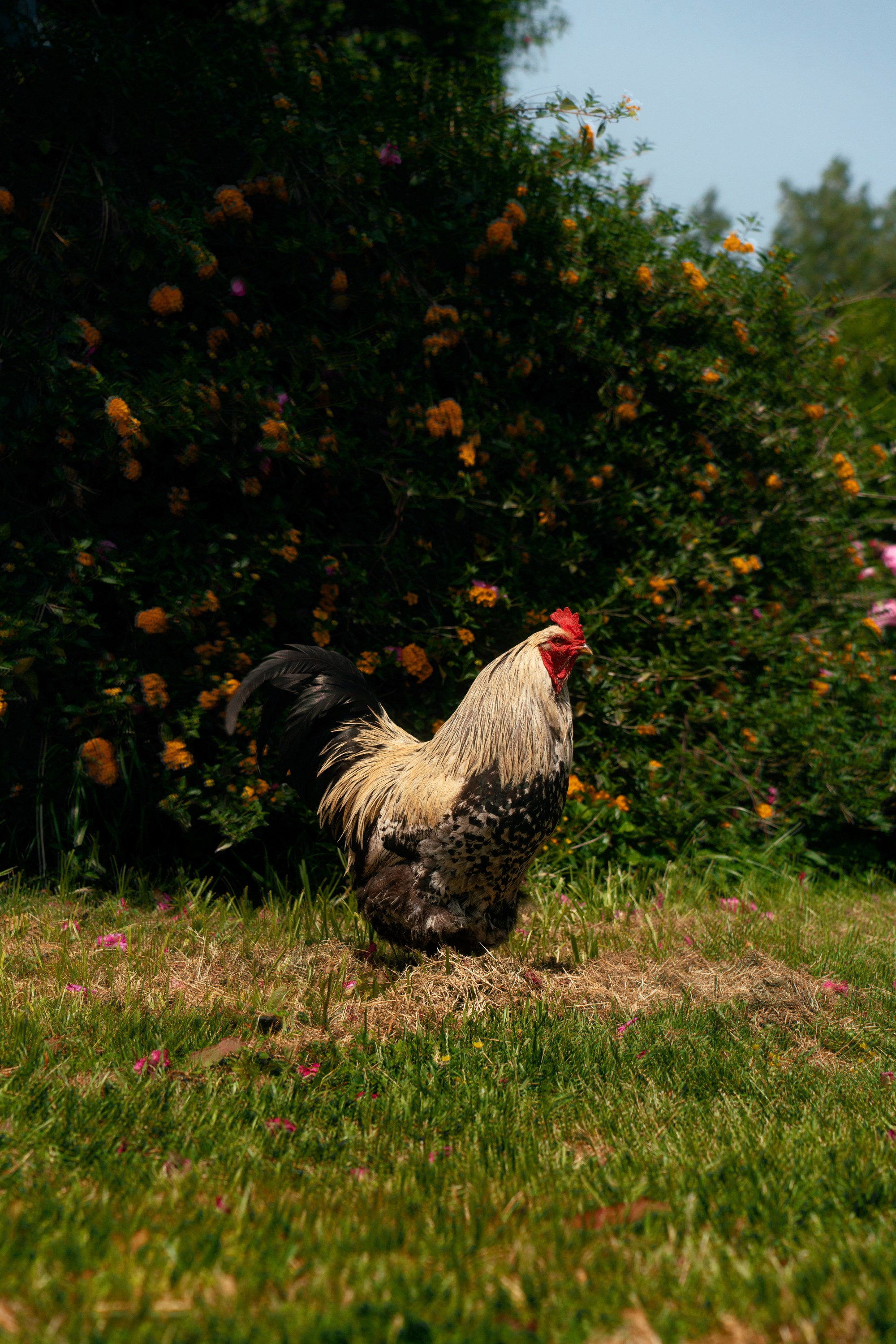 Турция, Греция, Иордания. Фотограф в Хабаровске. Фотография за 24 часа