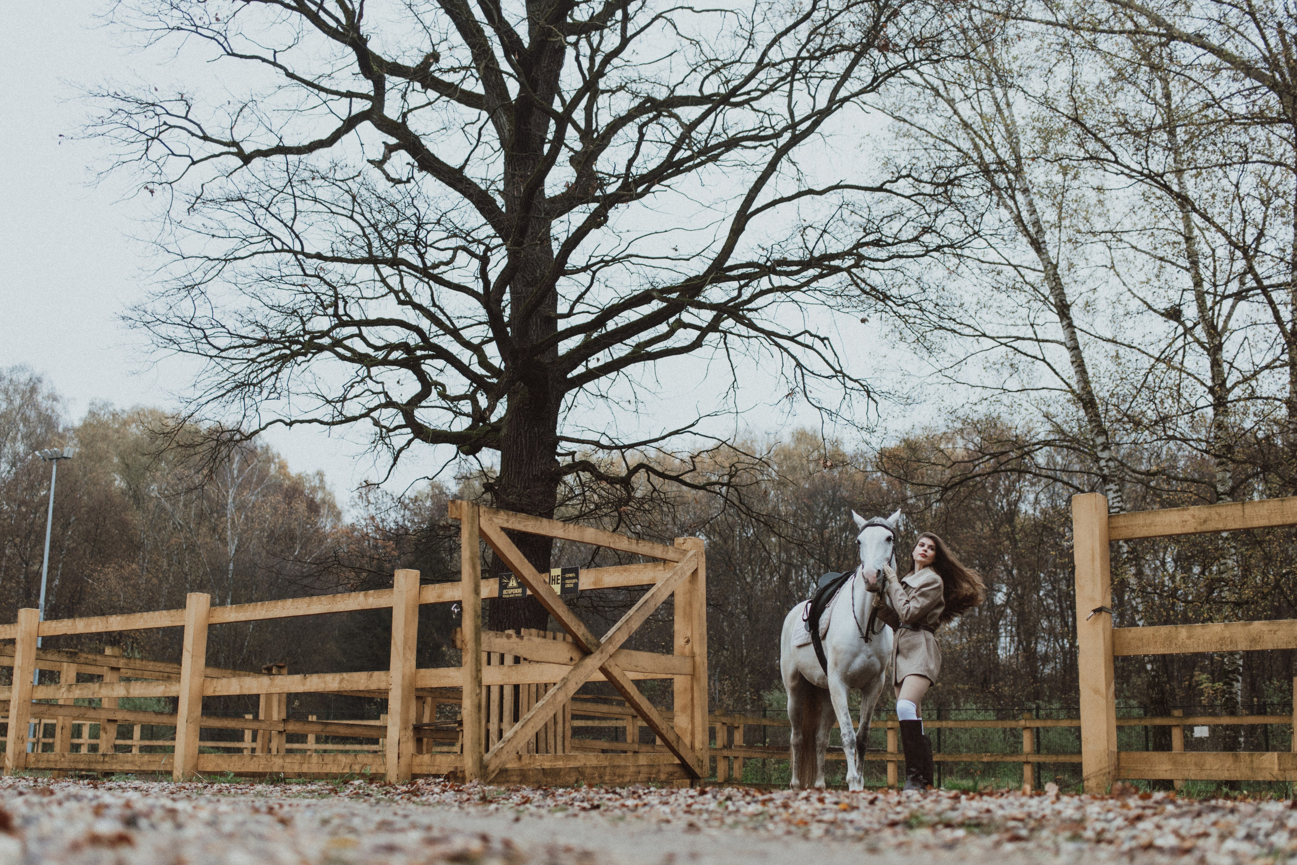 «Осенний ветер и грациозный скакун». Фотограф в Москве/Зарайске Шахова Марина