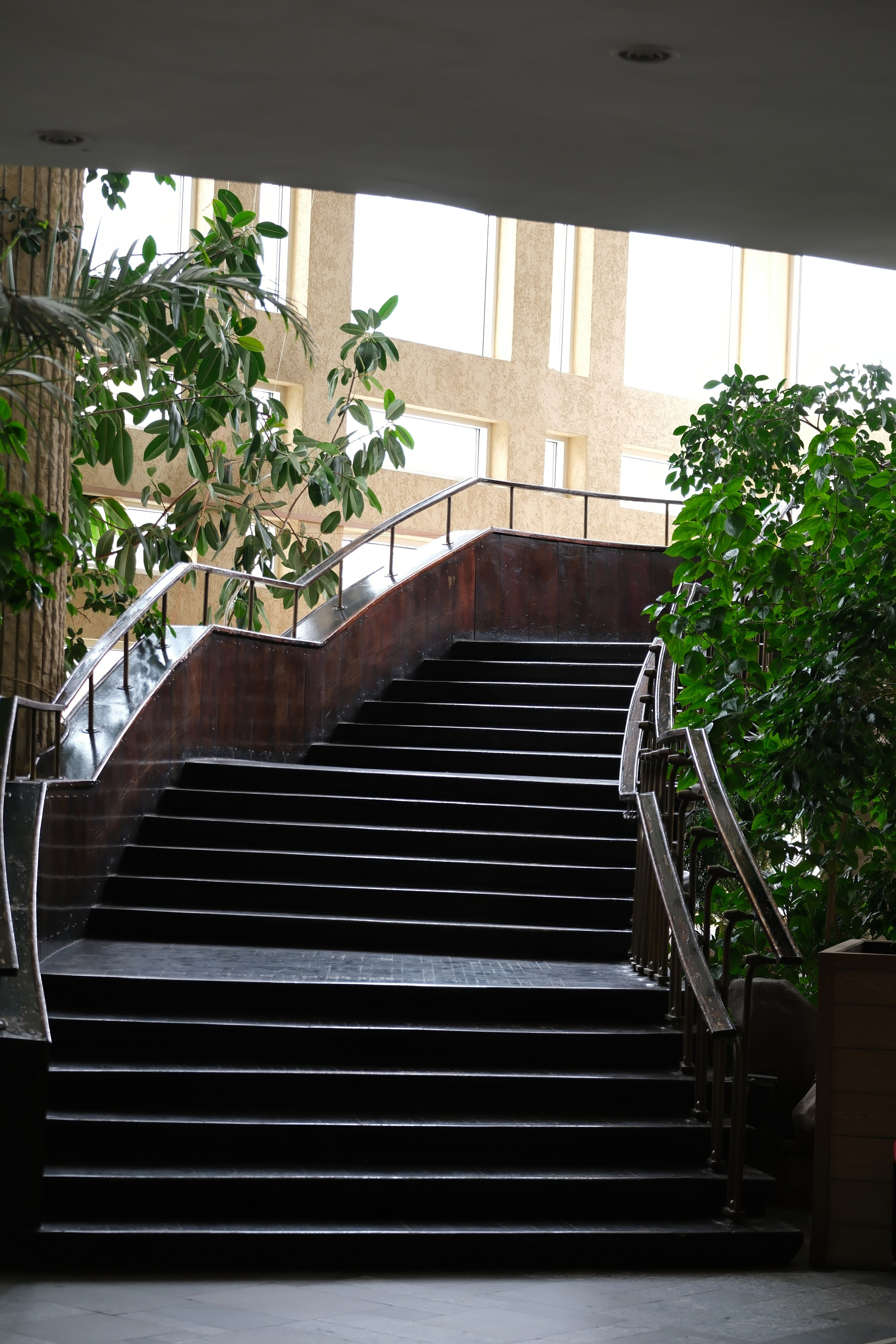 NEXT — премьера!!!. Добро пожаловать в студию «Цифровой скульптор»  где искусство встречается с технологиями!