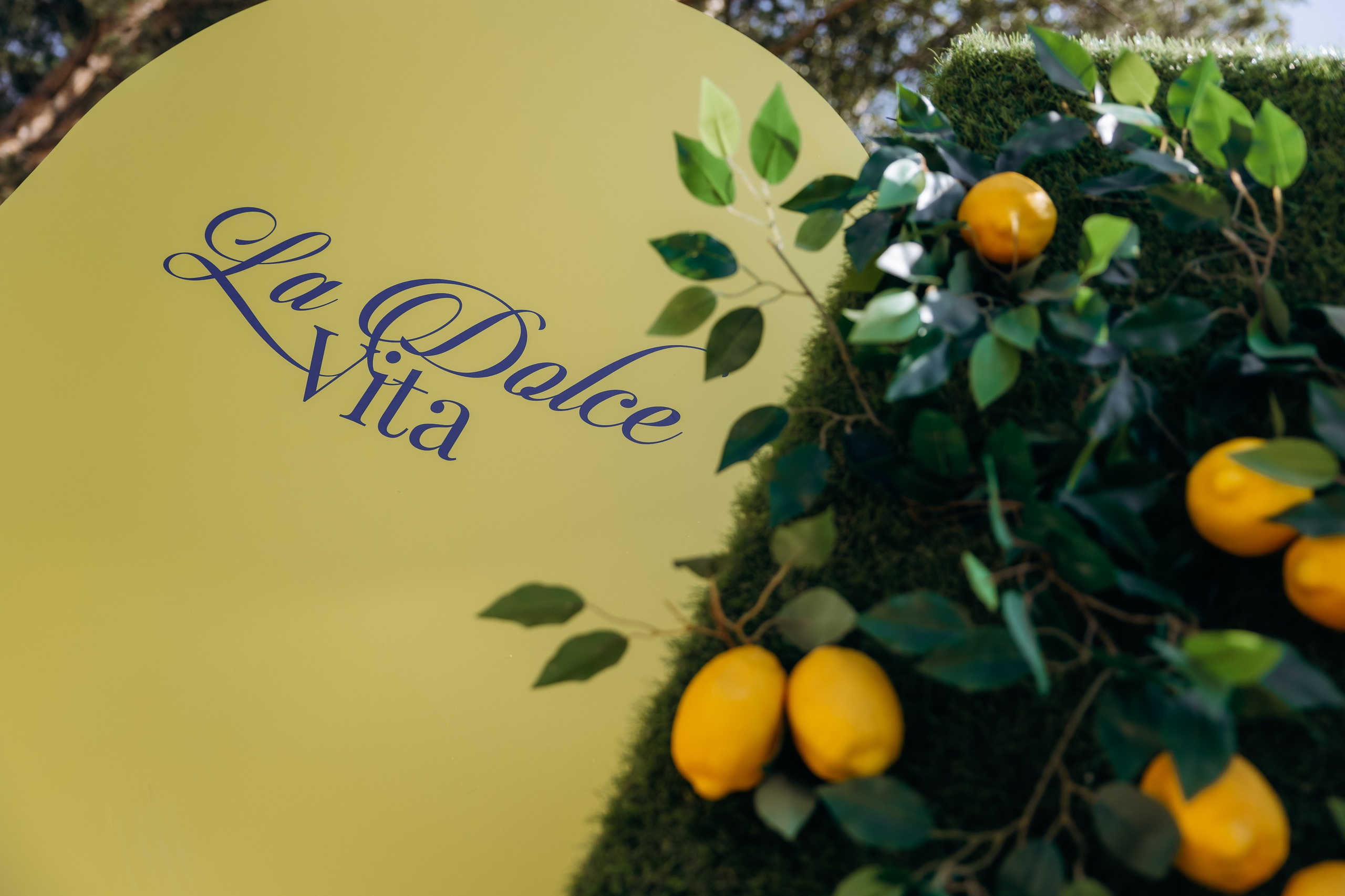 Корпоратив La Dolce Vita. Фотограф Виктория Дунаевская в Санкт Петербурге