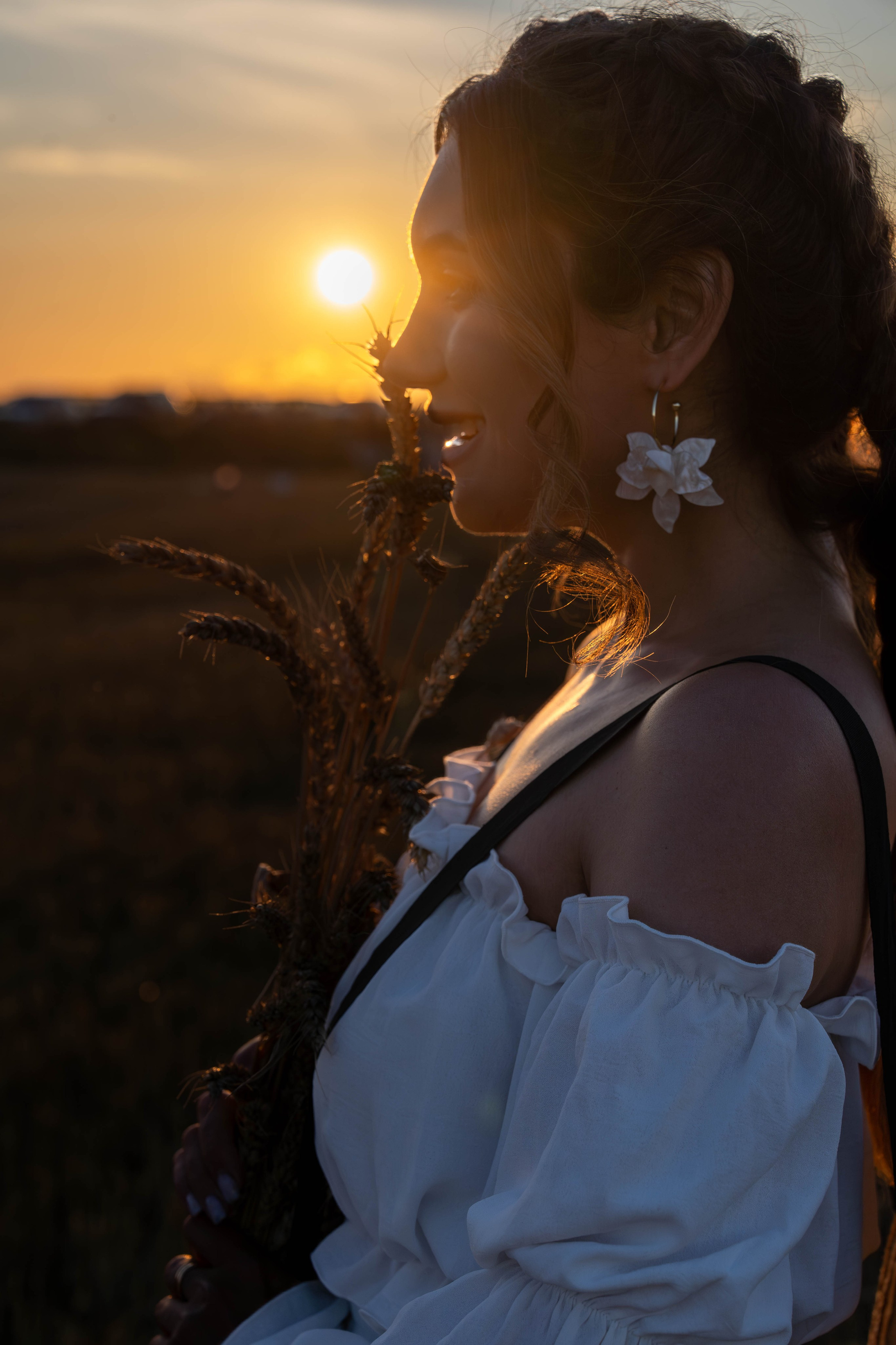 Пшеничные поля. Главная