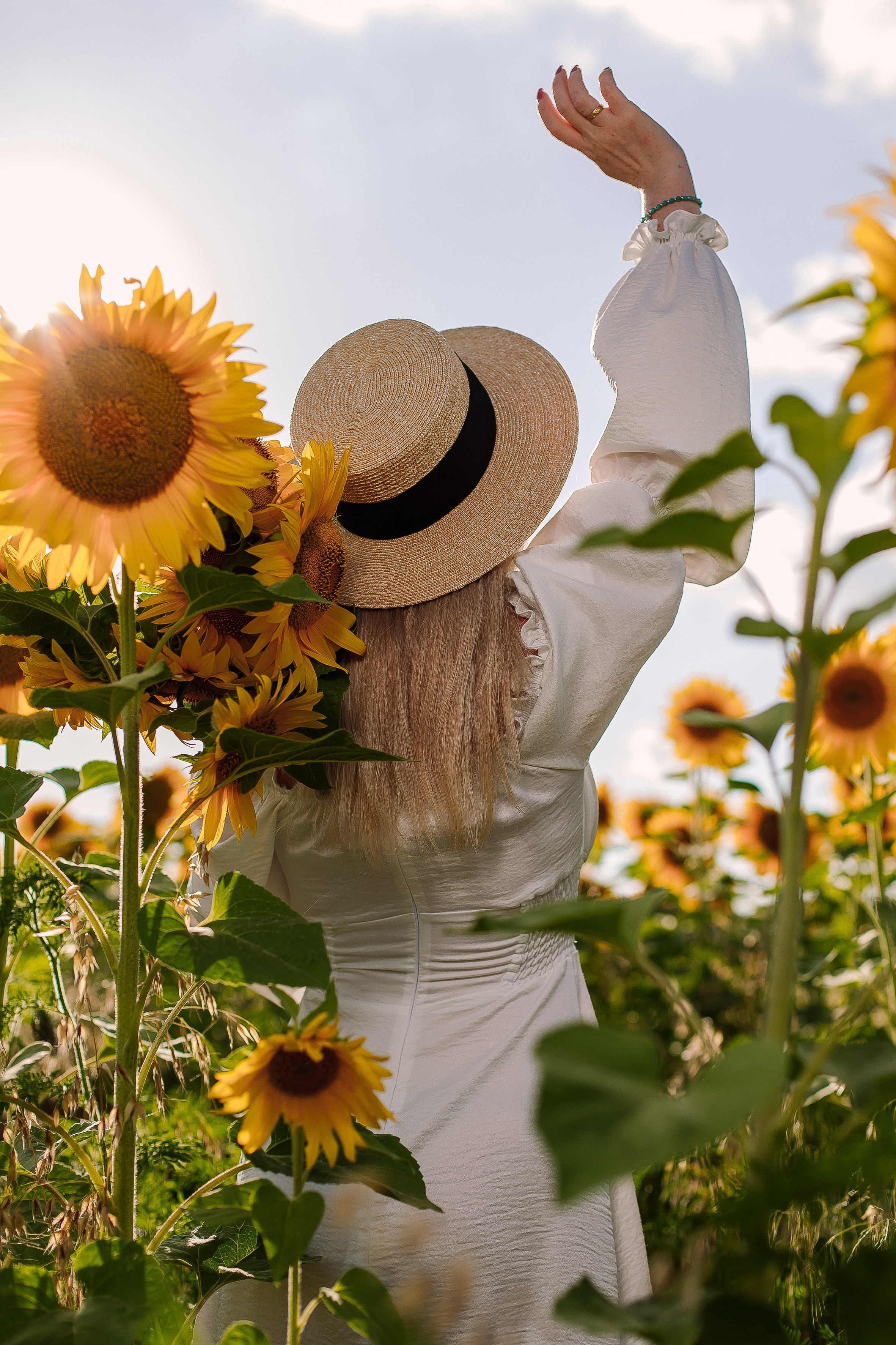 Подсолнухи. Выпускные альбомы Натальи Бутко: Новороссийск, Анапа, Геленджик
