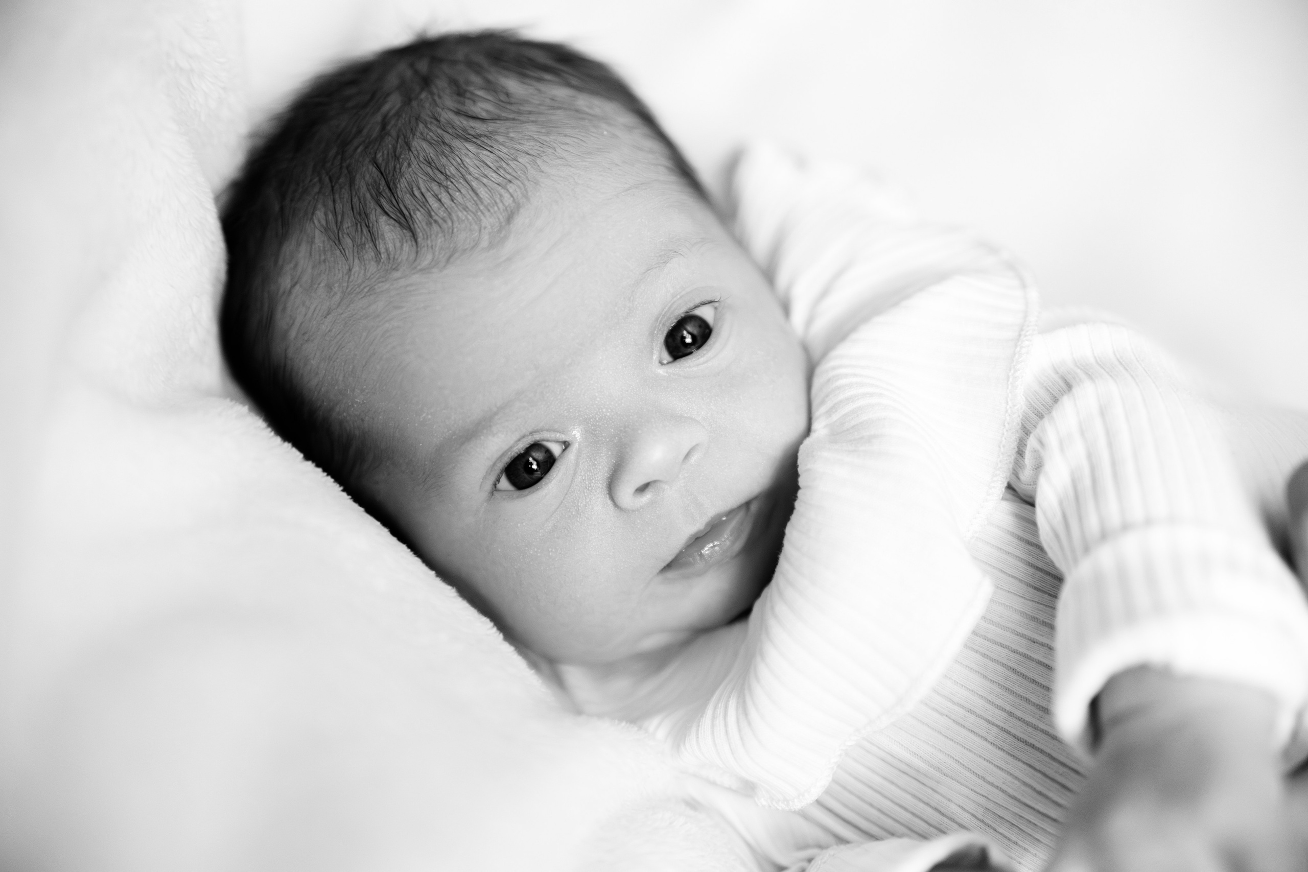 Newborn. Свадебный фотограф в Лисках