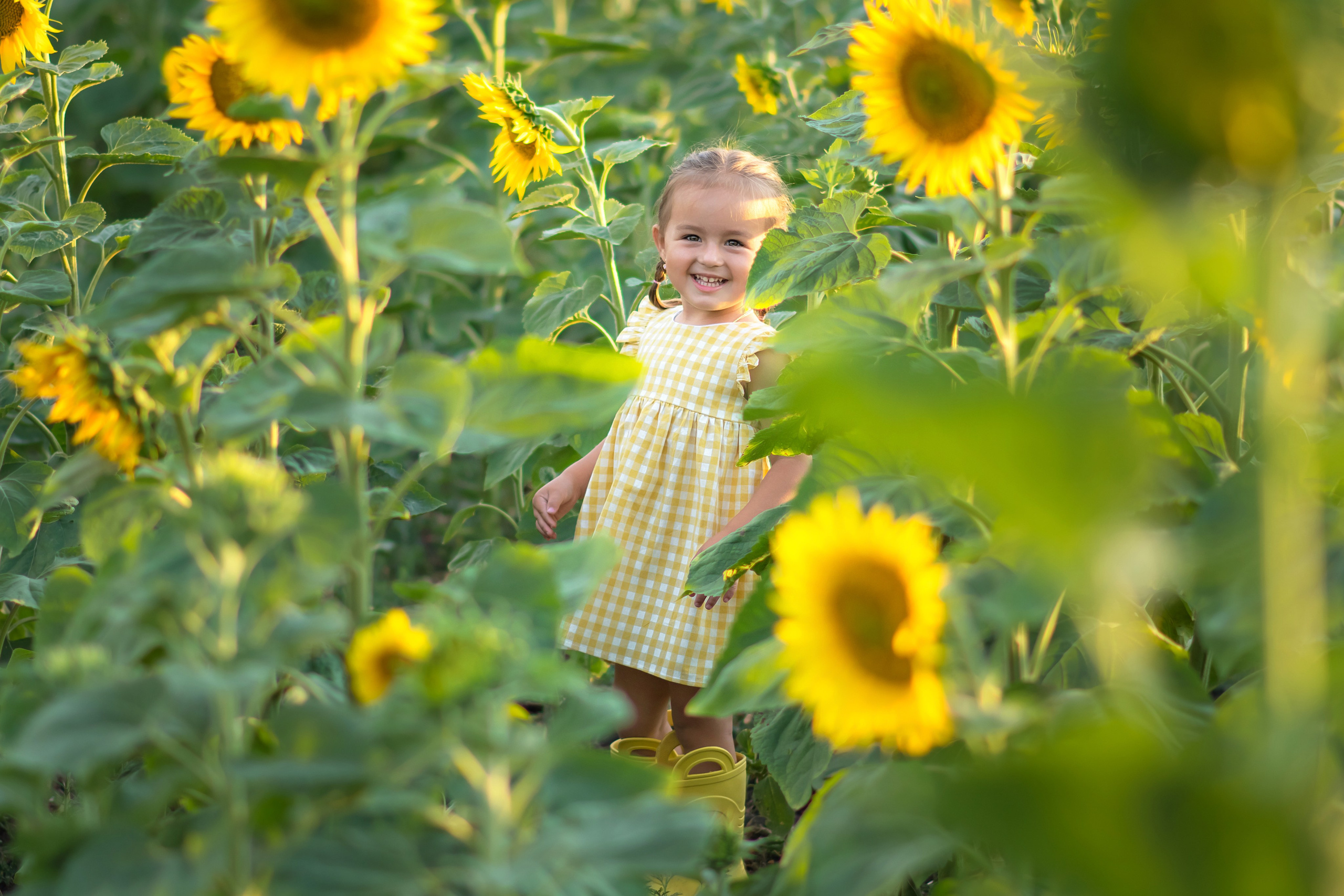 Лето. Фотограф Ольга Холина|Дебальцево