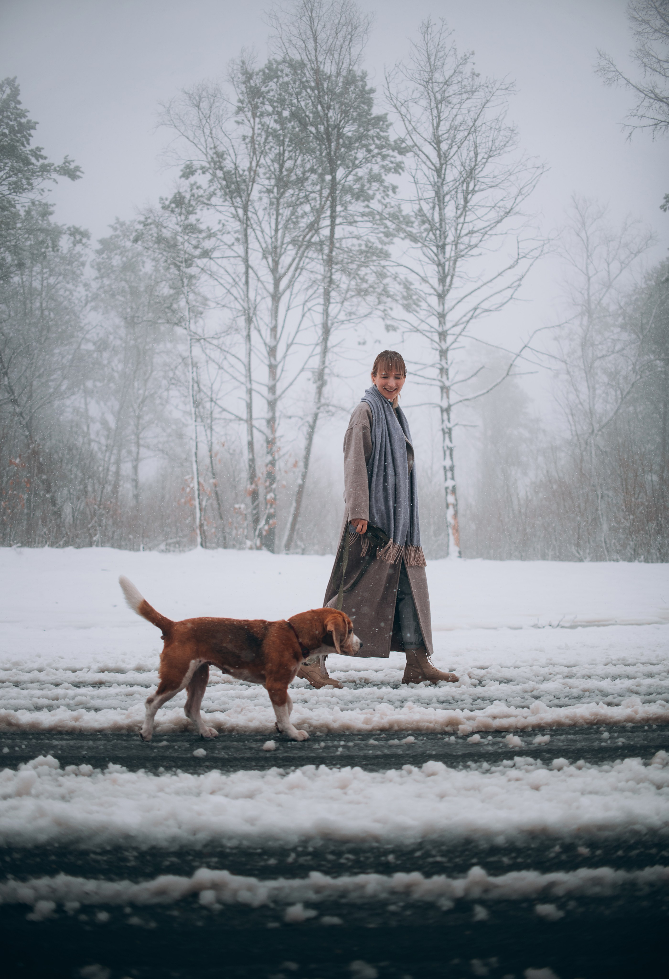 Прогулка с собаками: бигли и Лена. Портфолио