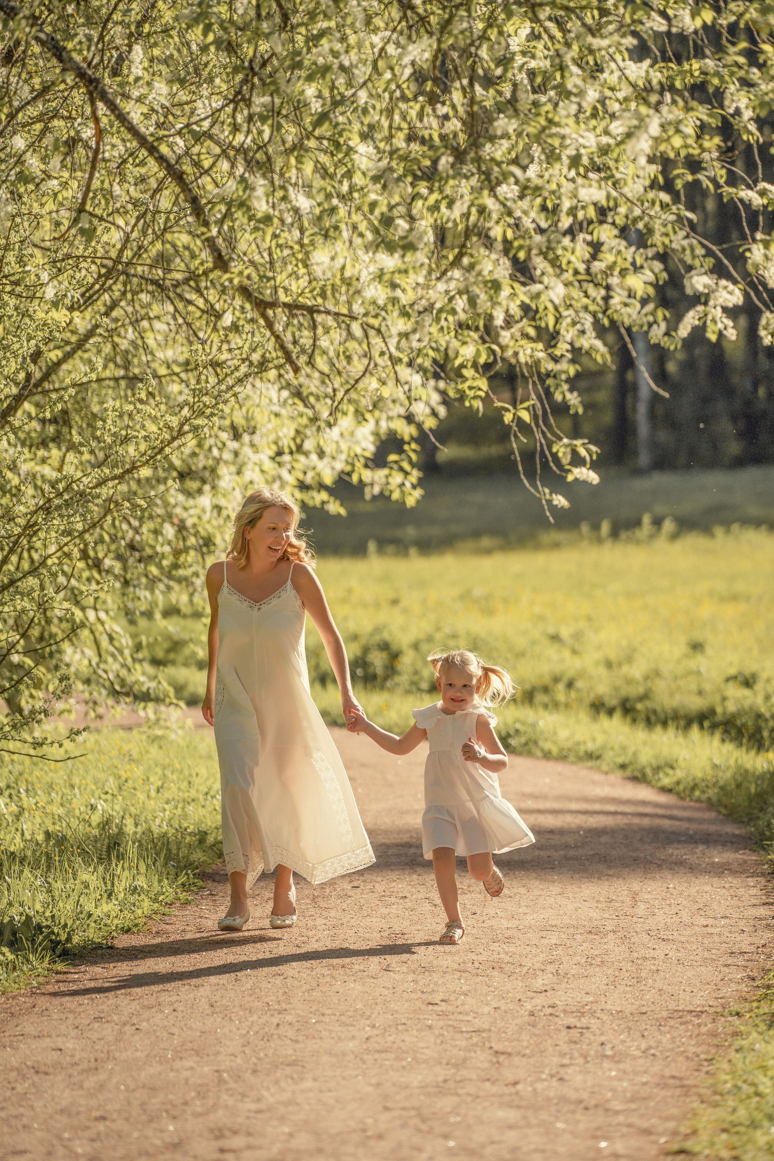 Фотопрогулка в Павловском парке
