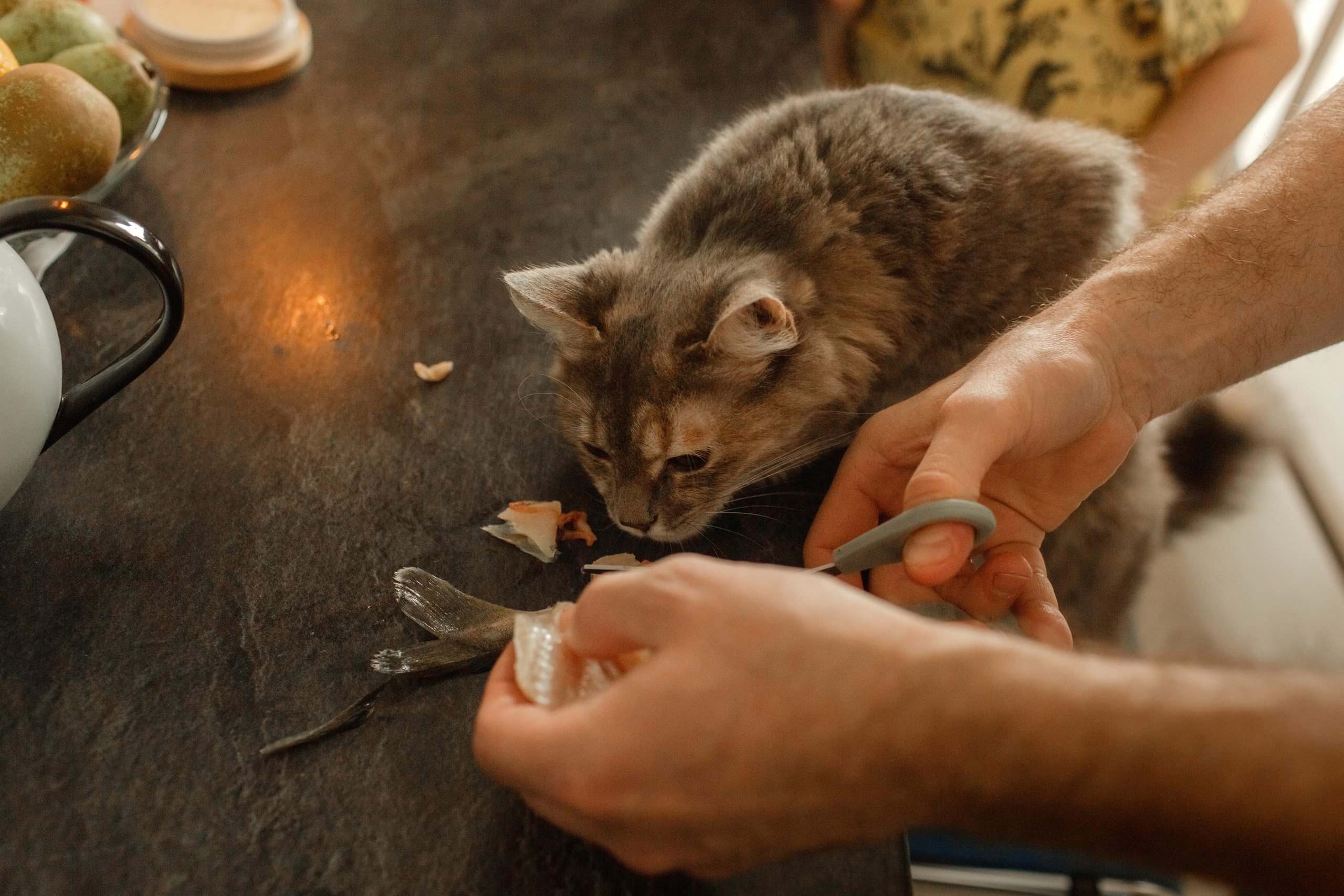 Семейная фотоистория. Семейный, свадебный фотограф Минск Бобруйск Алла Сказова