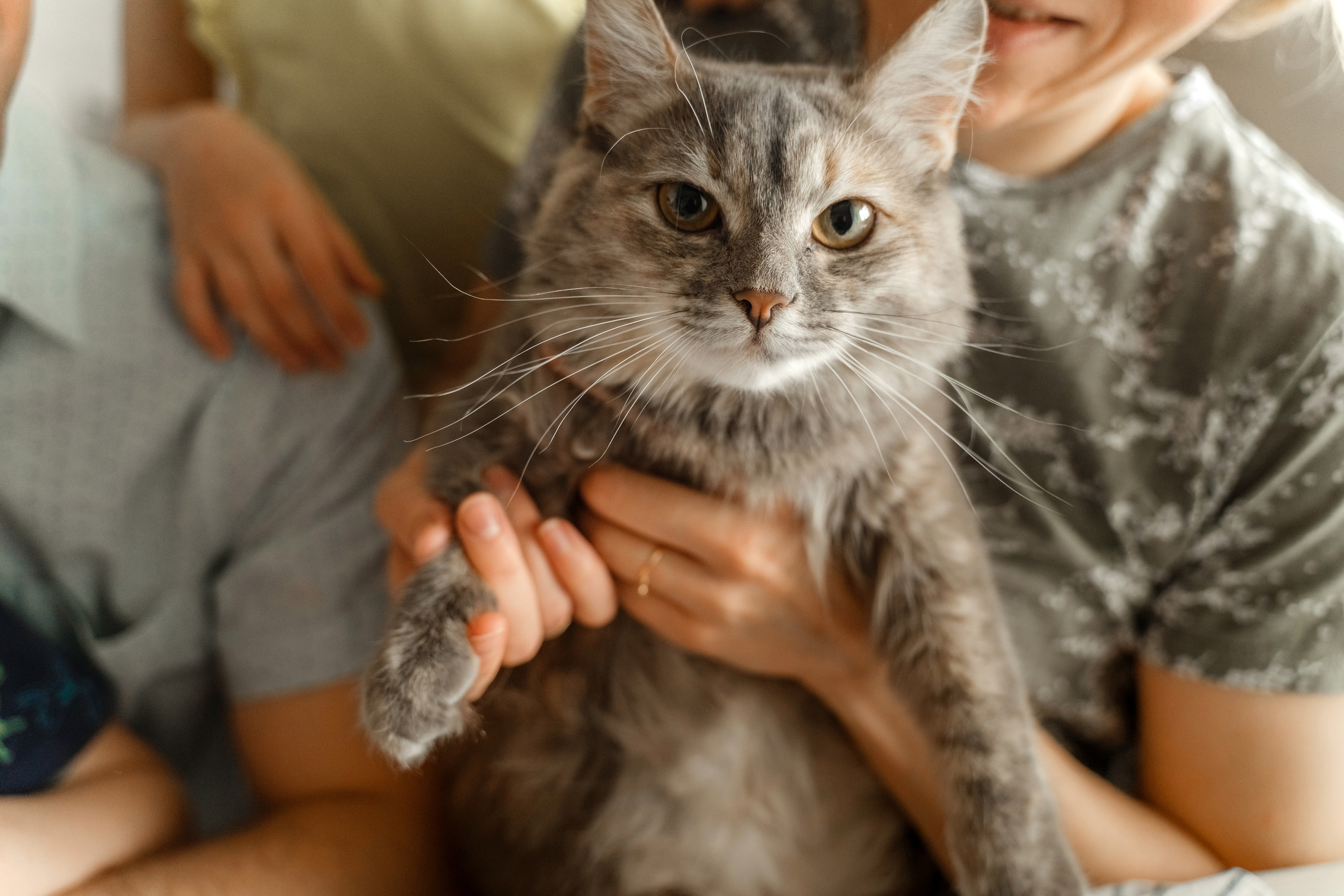 Семейная фотоистория. Семейный, свадебный фотограф Минск Бобруйск Алла Сказова