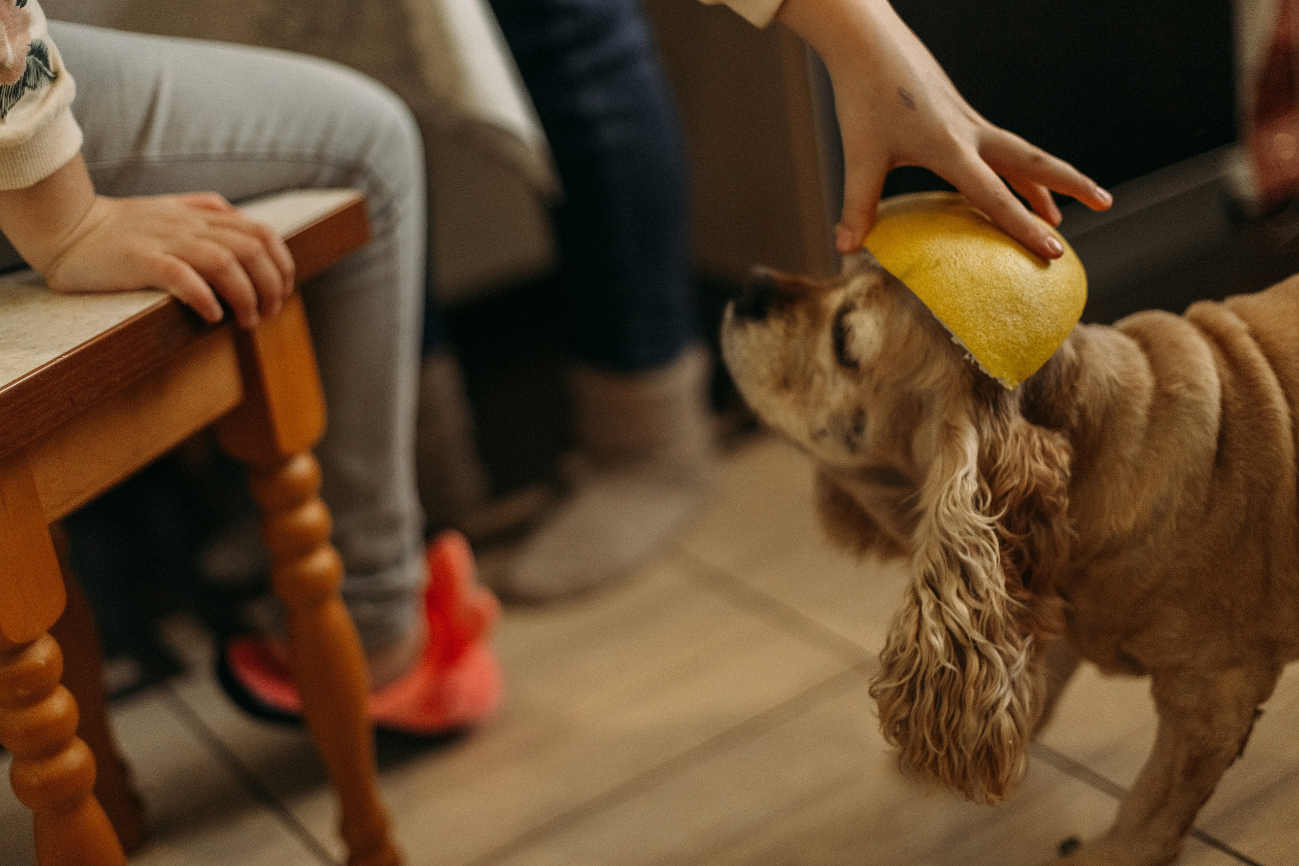 Домашняя фотоистория. В ожидании. Мама Настя и Марго. Семейный, свадебный фотограф Минск Бобруйск Алла Сказова