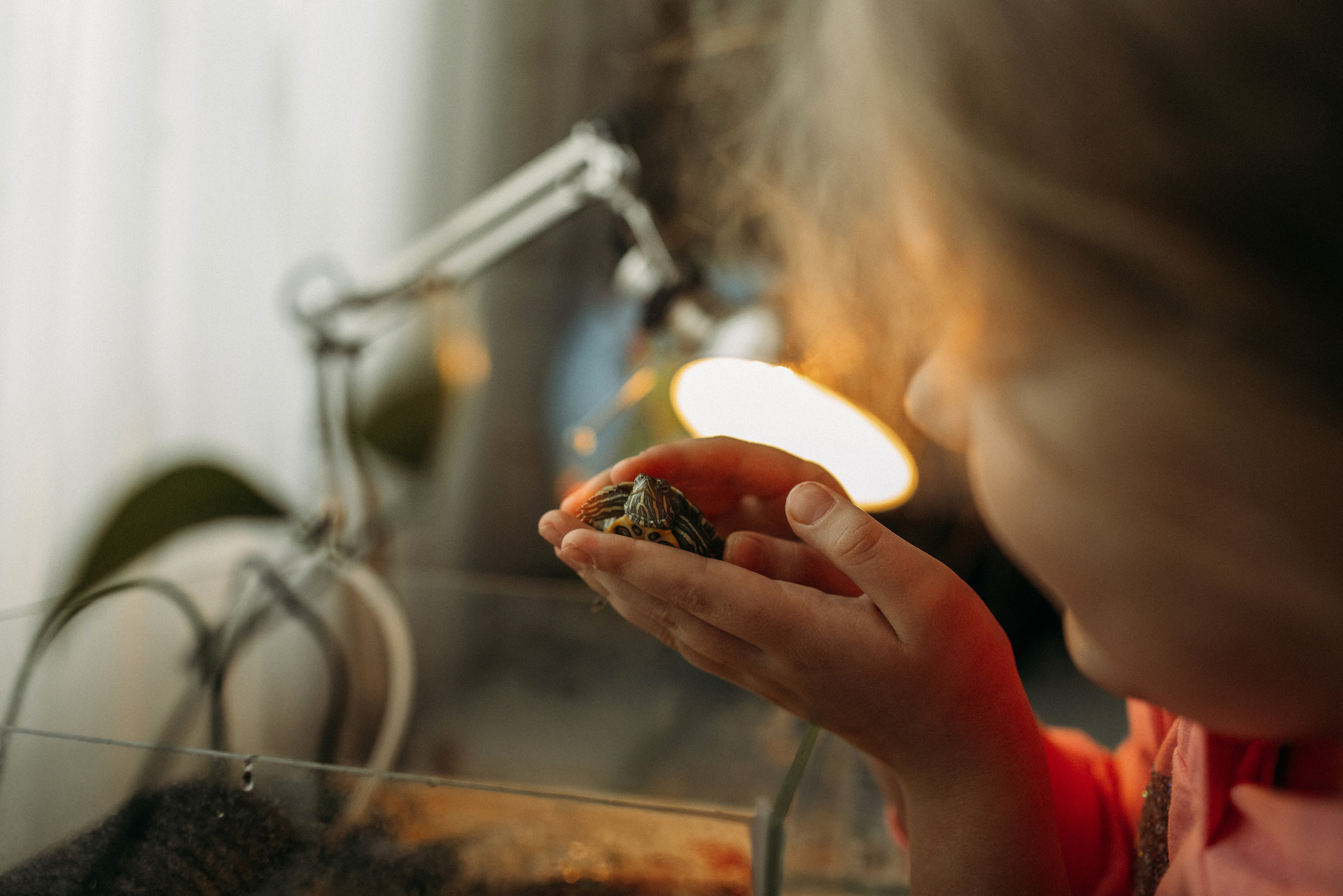 Домашняя фотоистория. В ожидании. Мама Настя и Марго. Семейный, свадебный фотограф Минск Бобруйск Алла Сказова