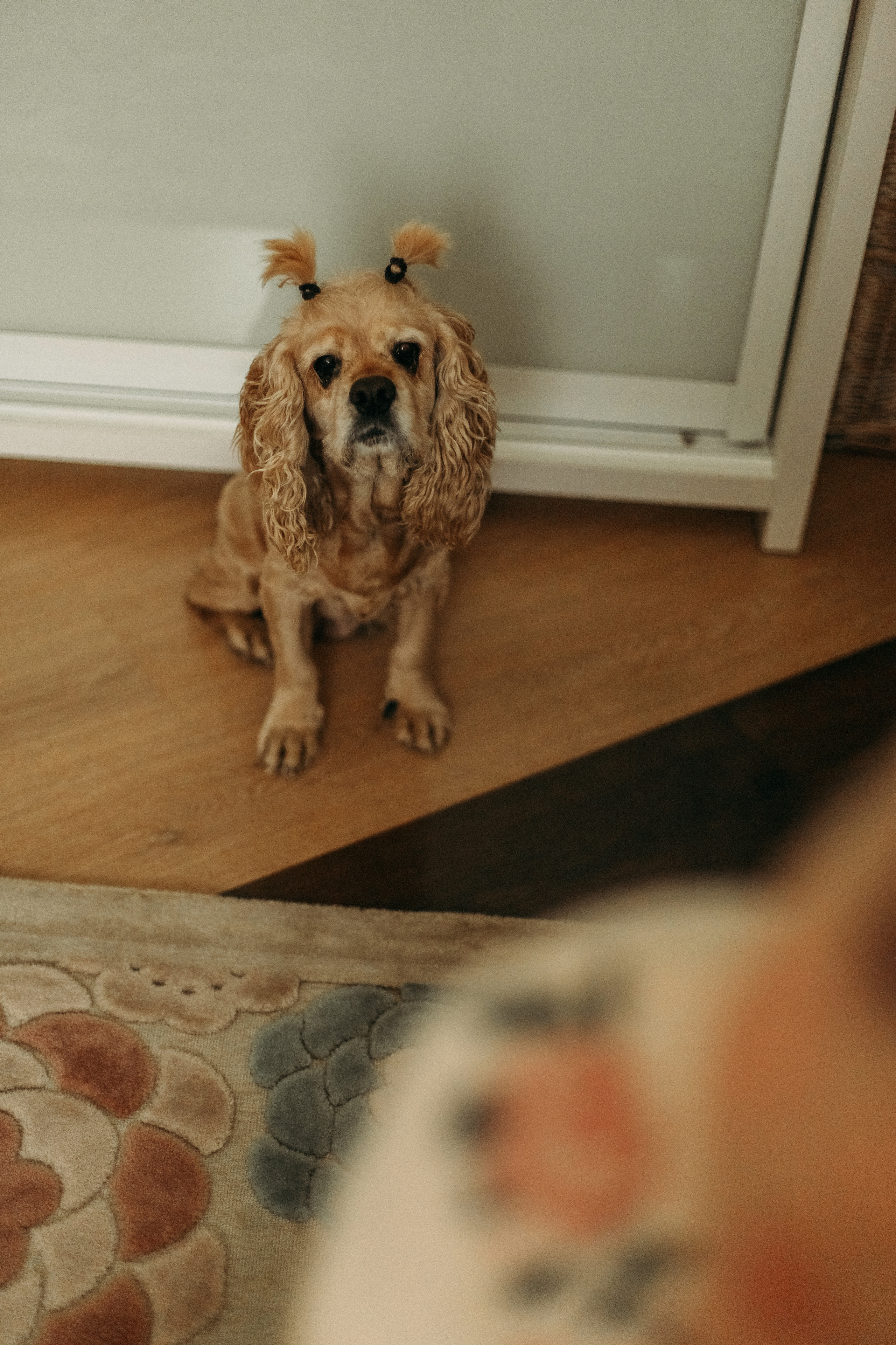Домашняя фотоистория. В ожидании. Мама Настя и Марго. Семейный, свадебный фотограф Минск Бобруйск Алла Сказова