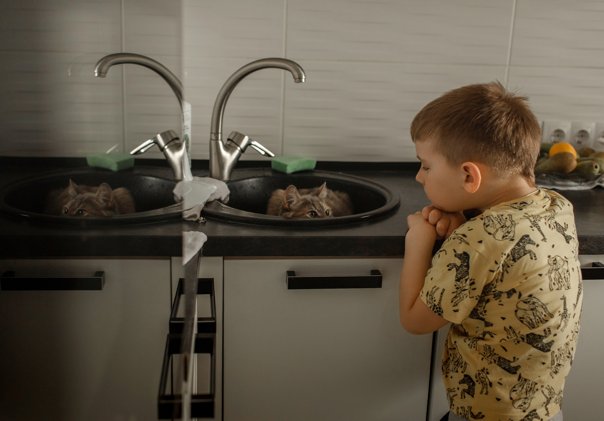 Семейная фотоистория. Семейный, свадебный фотограф Минск Бобруйск Алла Сказова