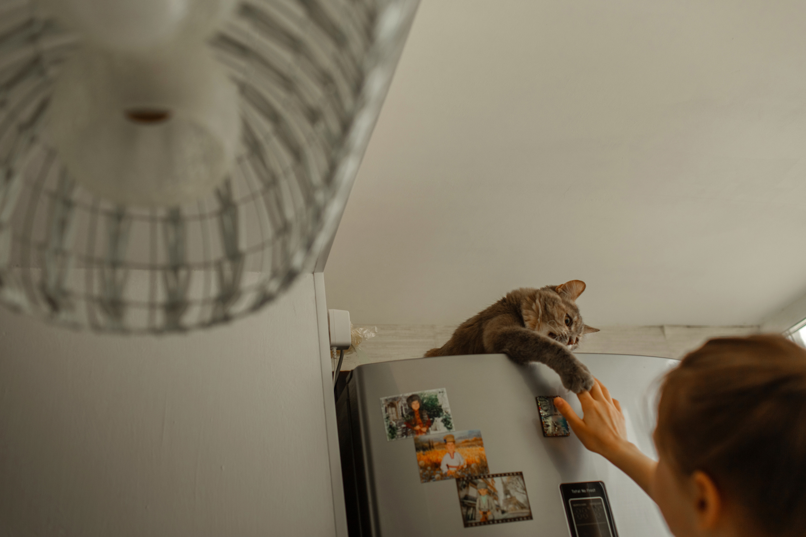 Семейная фотоистория. Семейный, свадебный фотограф Минск Бобруйск Алла Сказова