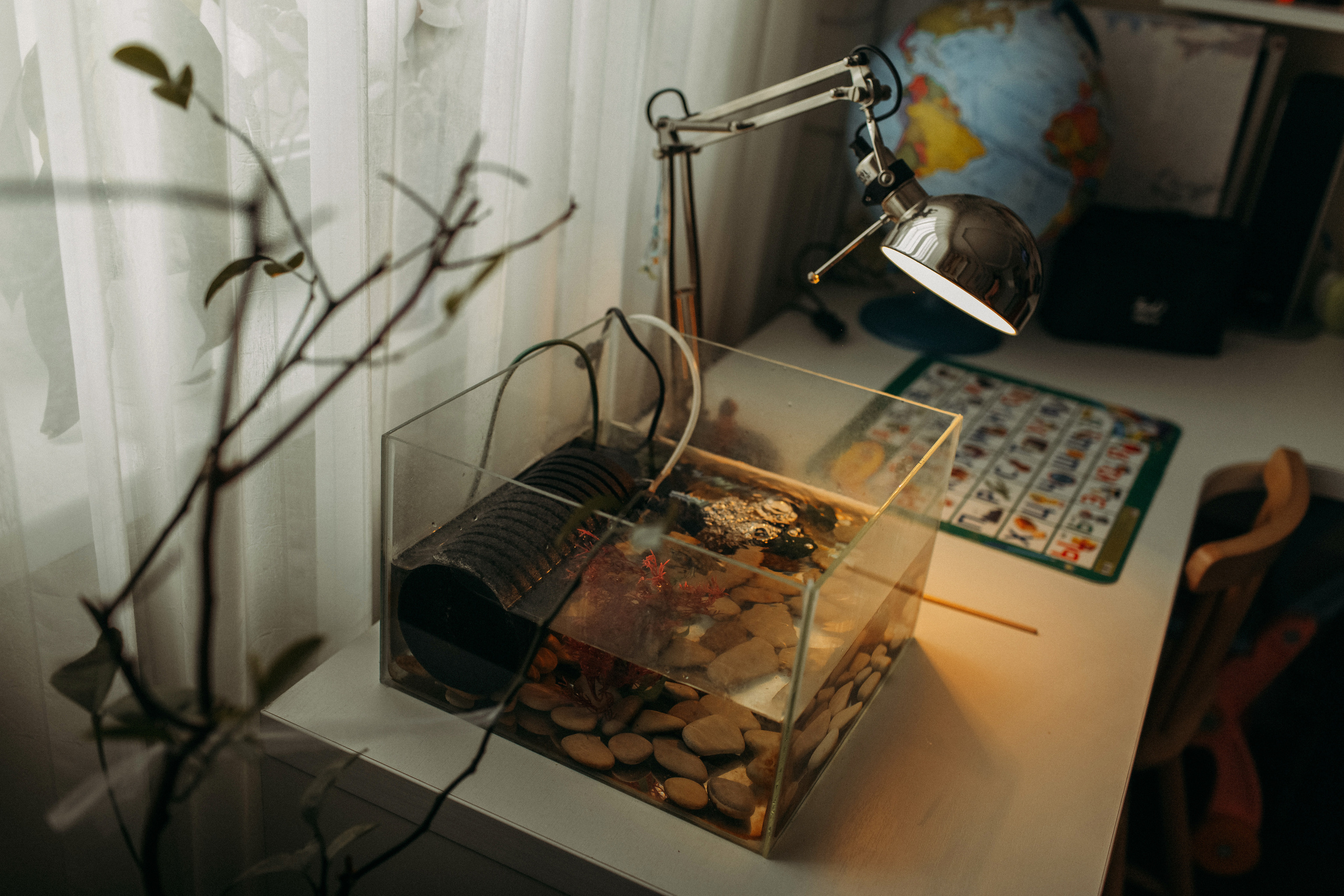 Домашняя фотоистория. В ожидании. Мама Настя и Марго. Семейный, свадебный фотограф Минск Бобруйск Алла Сказова