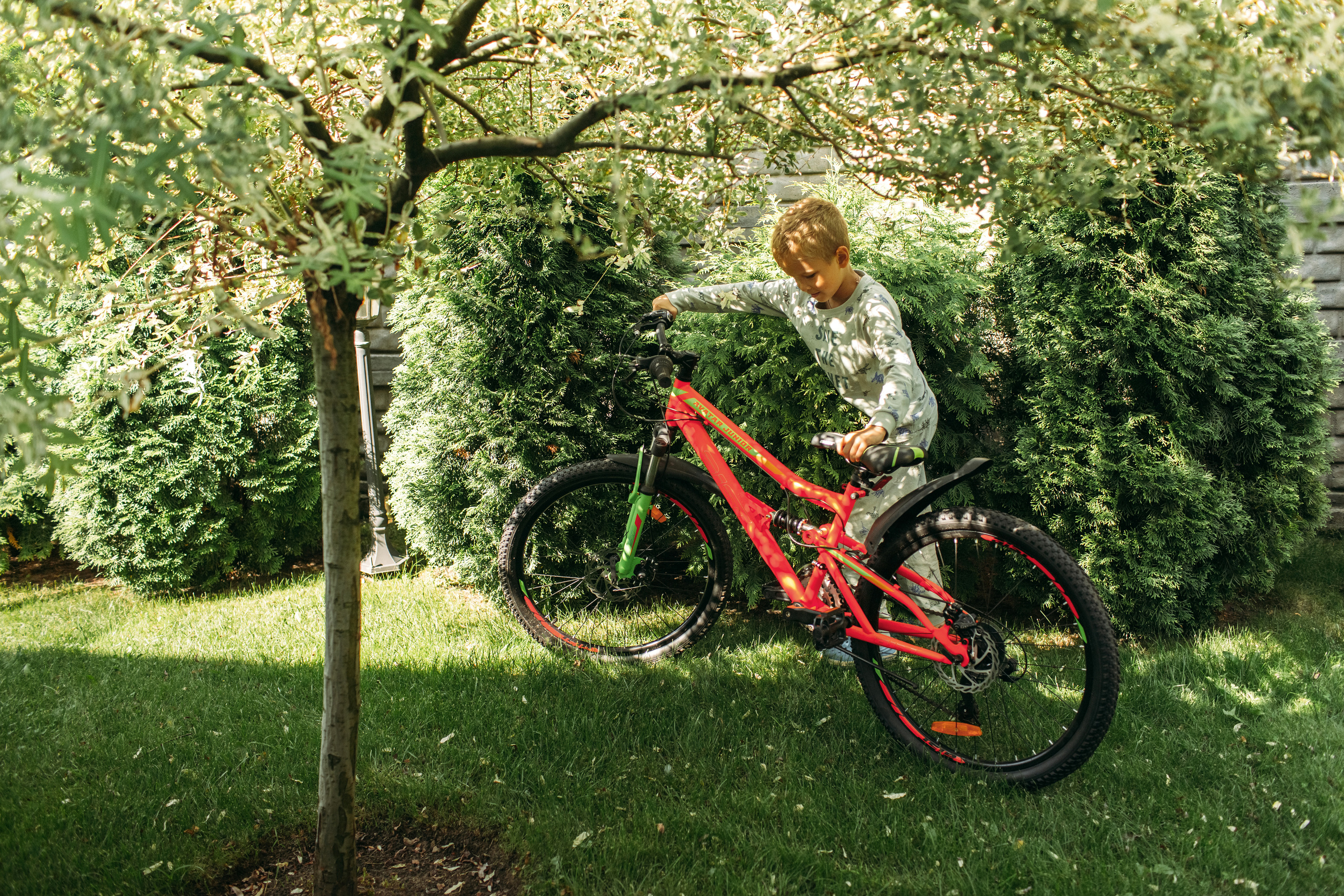 Домашняя фотоистория. Семейный, свадебный фотограф Минск Бобруйск Алла Сказова
