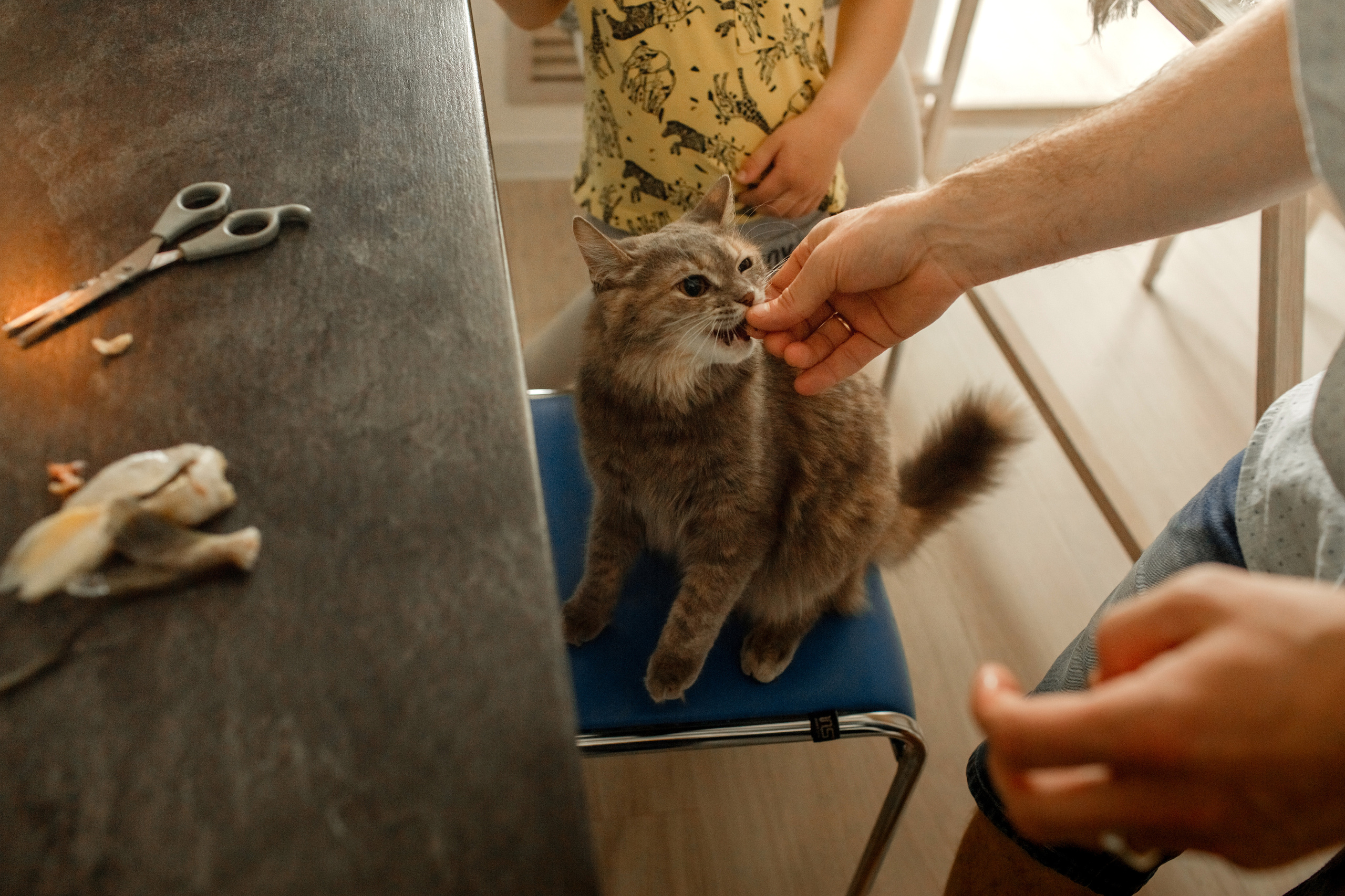 Семейная фотоистория. Семейный, свадебный фотограф Минск Бобруйск Алла Сказова