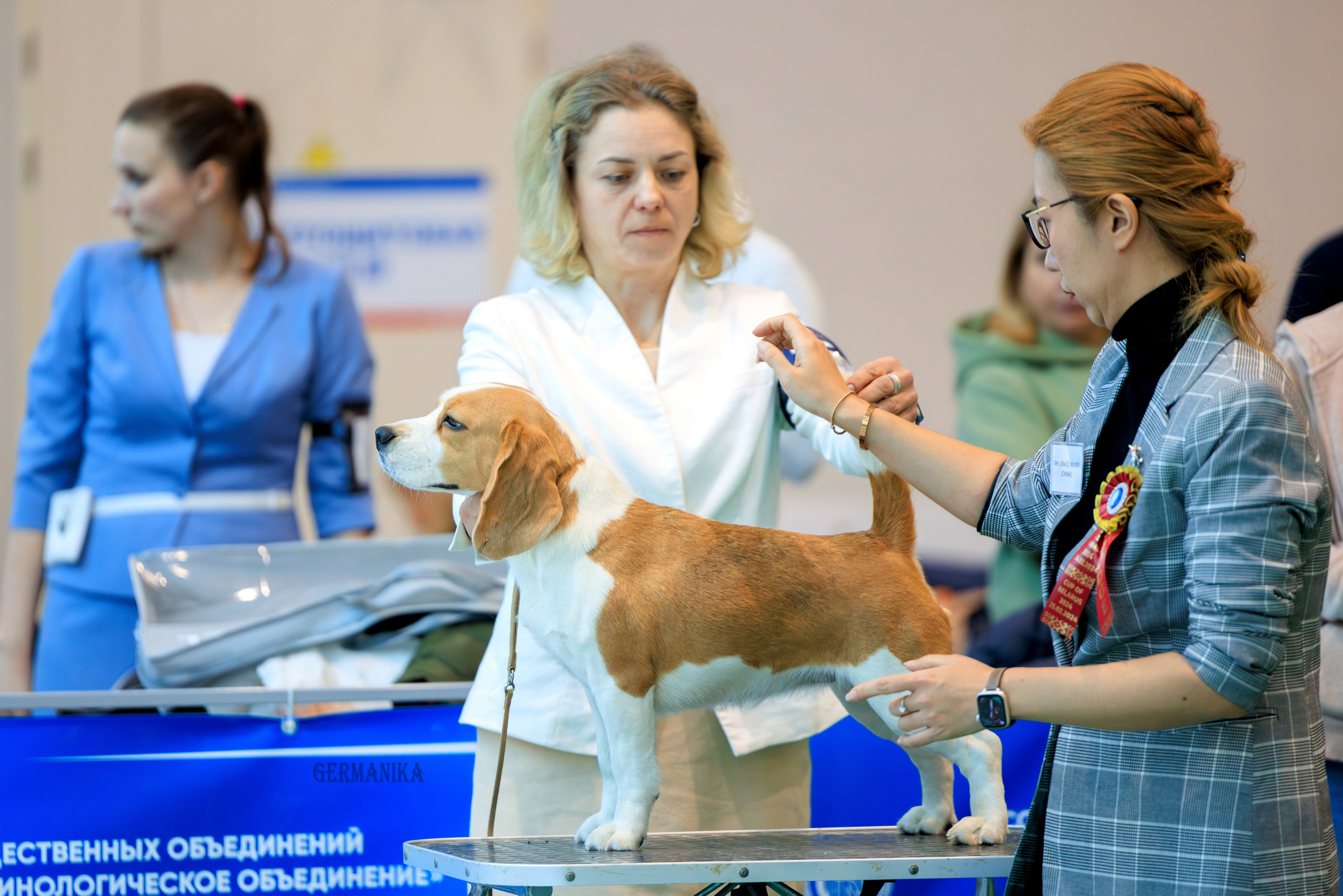 Минск 24-25.02.2024. Фотограф-анималист Юлия Германика
