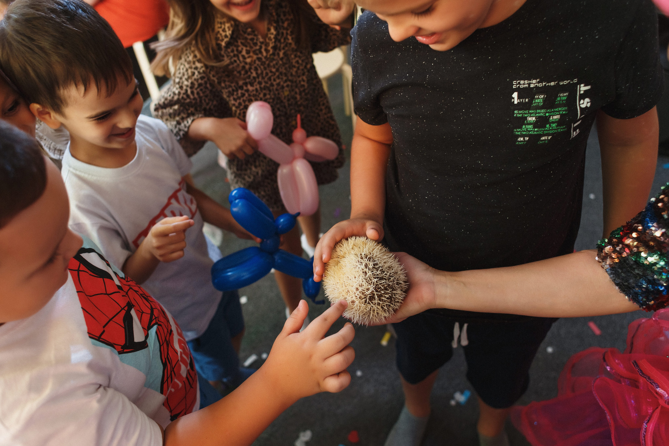 Веселый День Рождения Ариши в Игровой «Клумба», Таганрог. Свадебный и семейный фотограф в Таганроге Бакарюк Антон