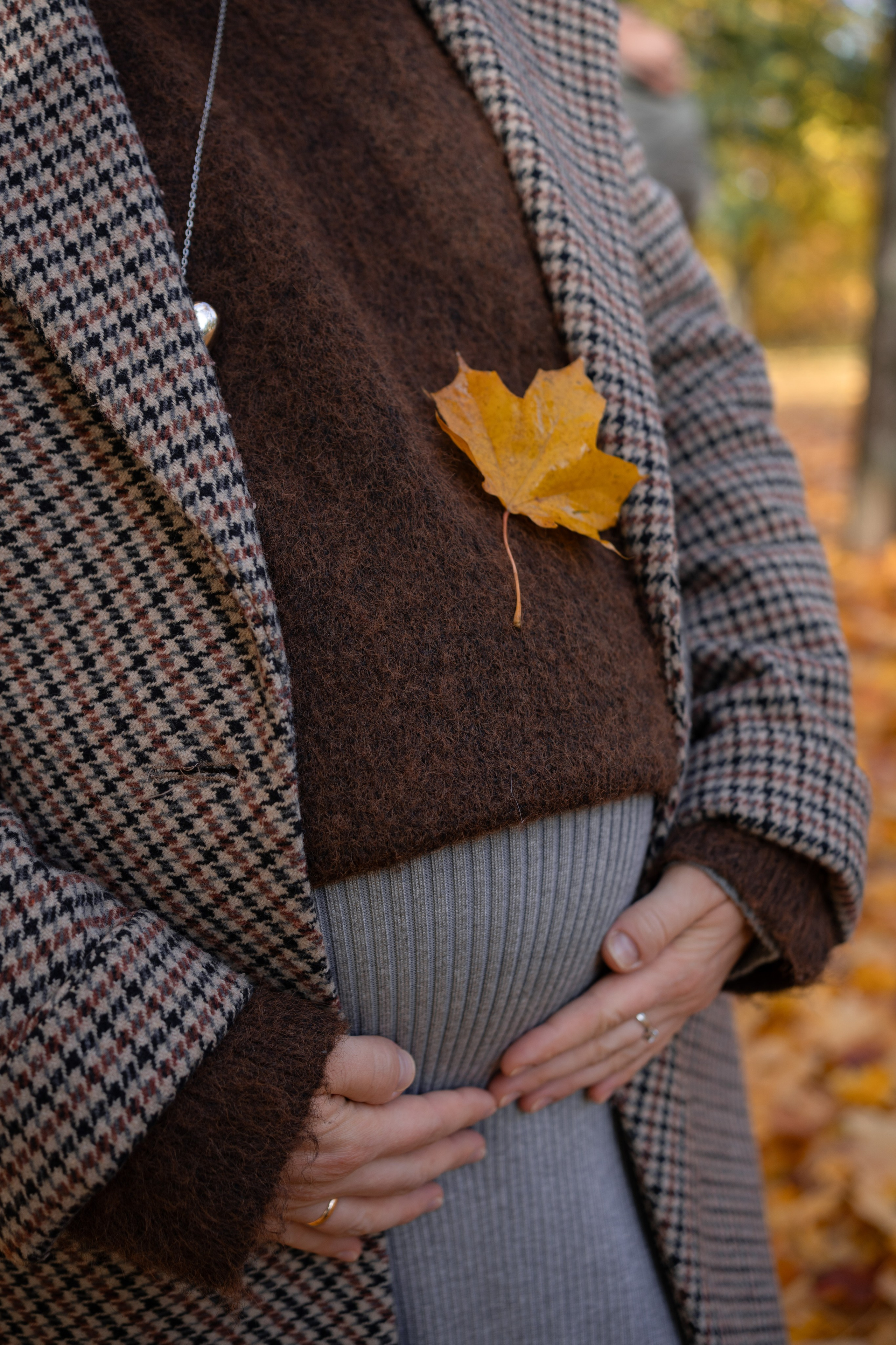 Осень на Каменном острове. Фотограф Виктория Юленкова