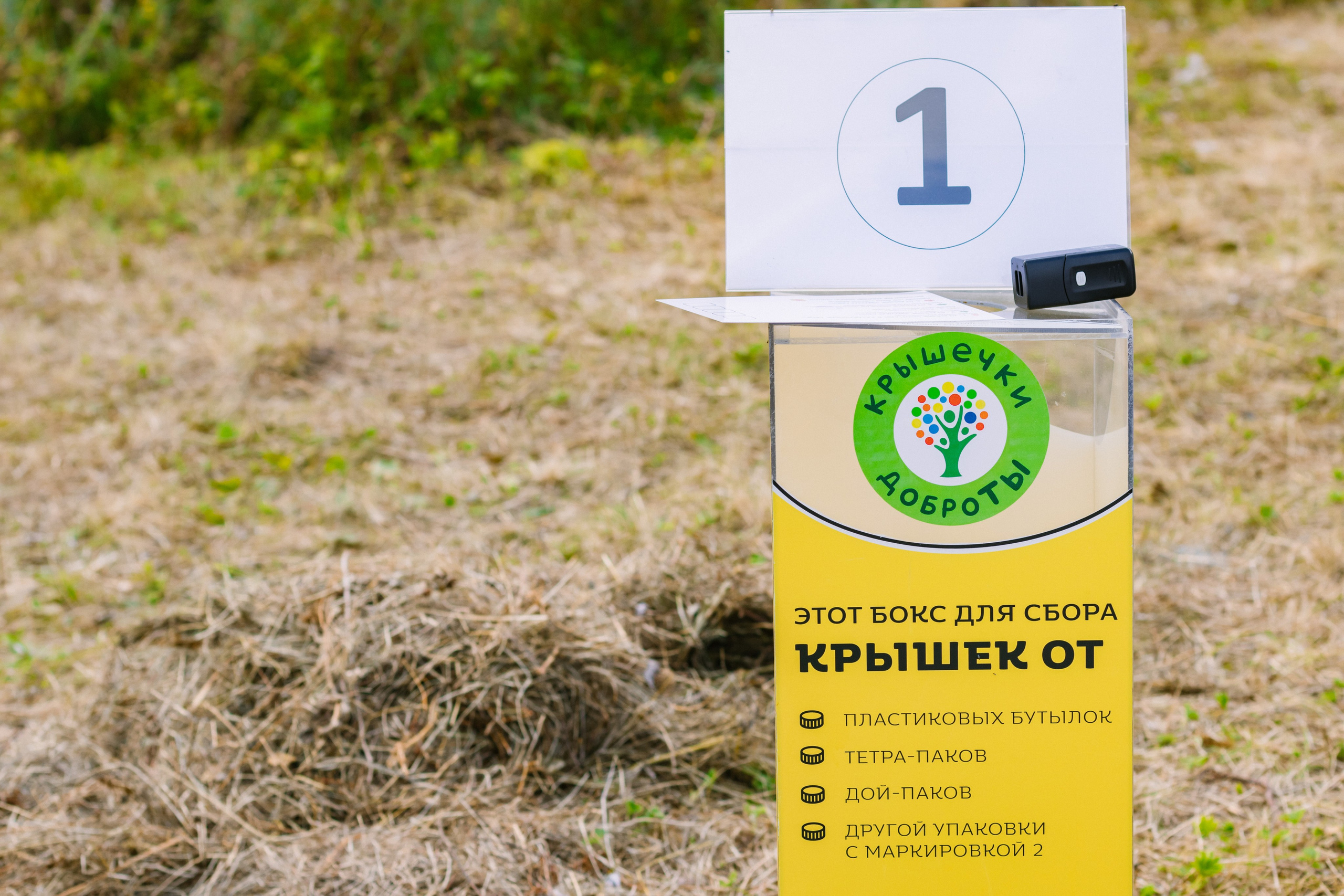 Фестивали, выставки. Коммерческий фотограф в Санкт-Петербурге (СПб) Екатерина Панчёха, Панчёшка