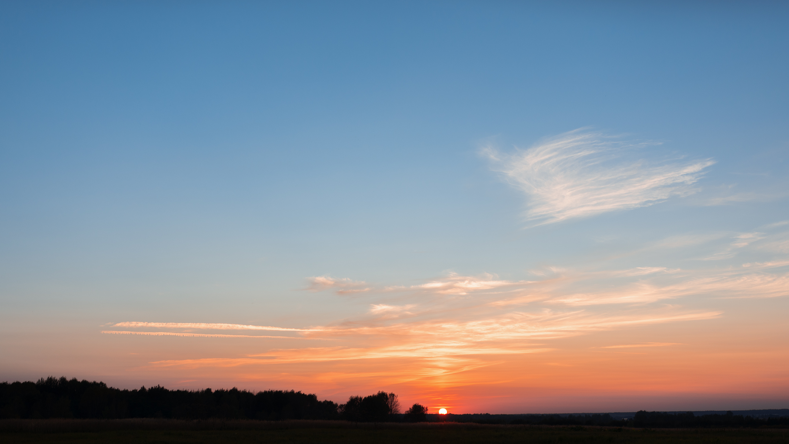 Небо видело всё. Komonev