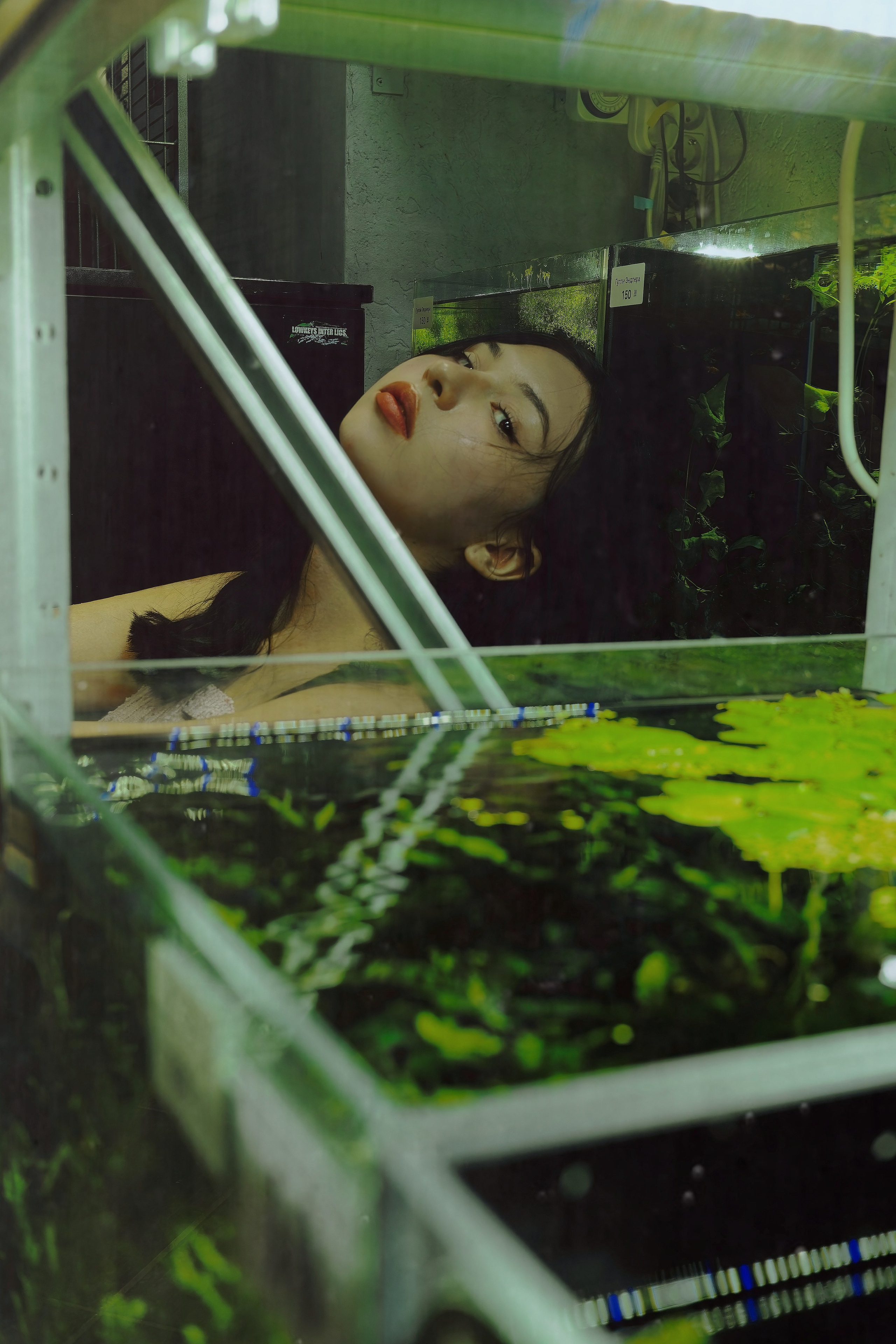 Аквариум. Фотограф Денис Шемет