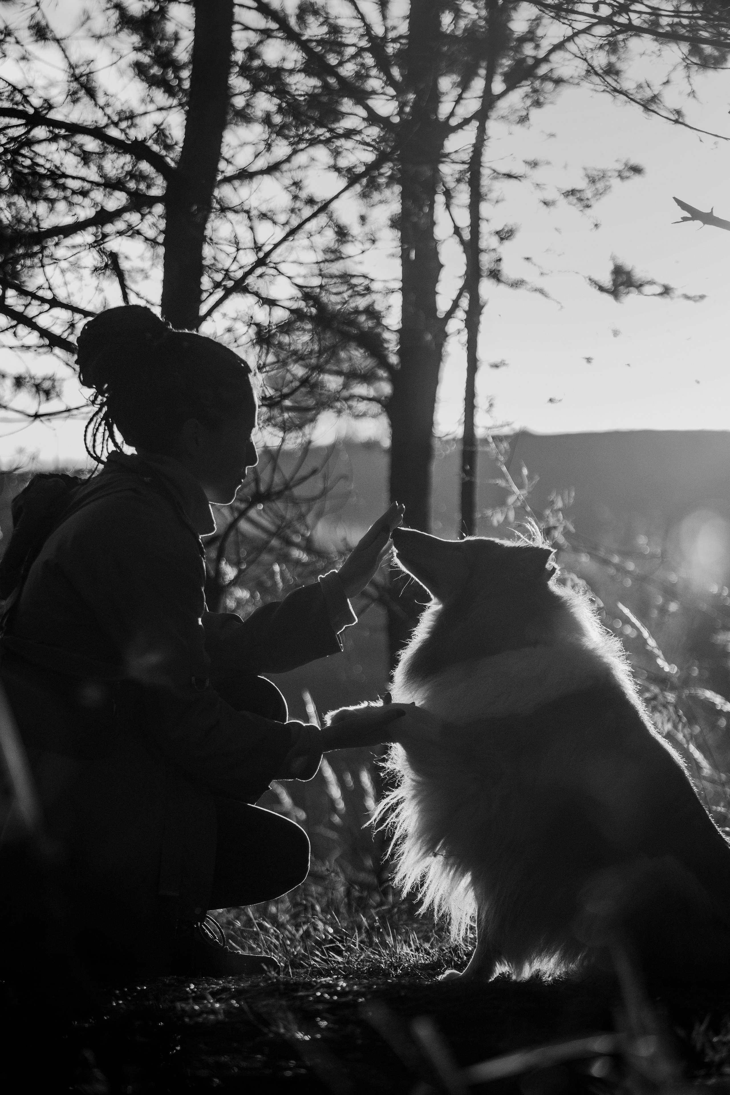 Трисс, Эста, Яся и их семья. Фотограф — Анималист | Санкт-Петербург