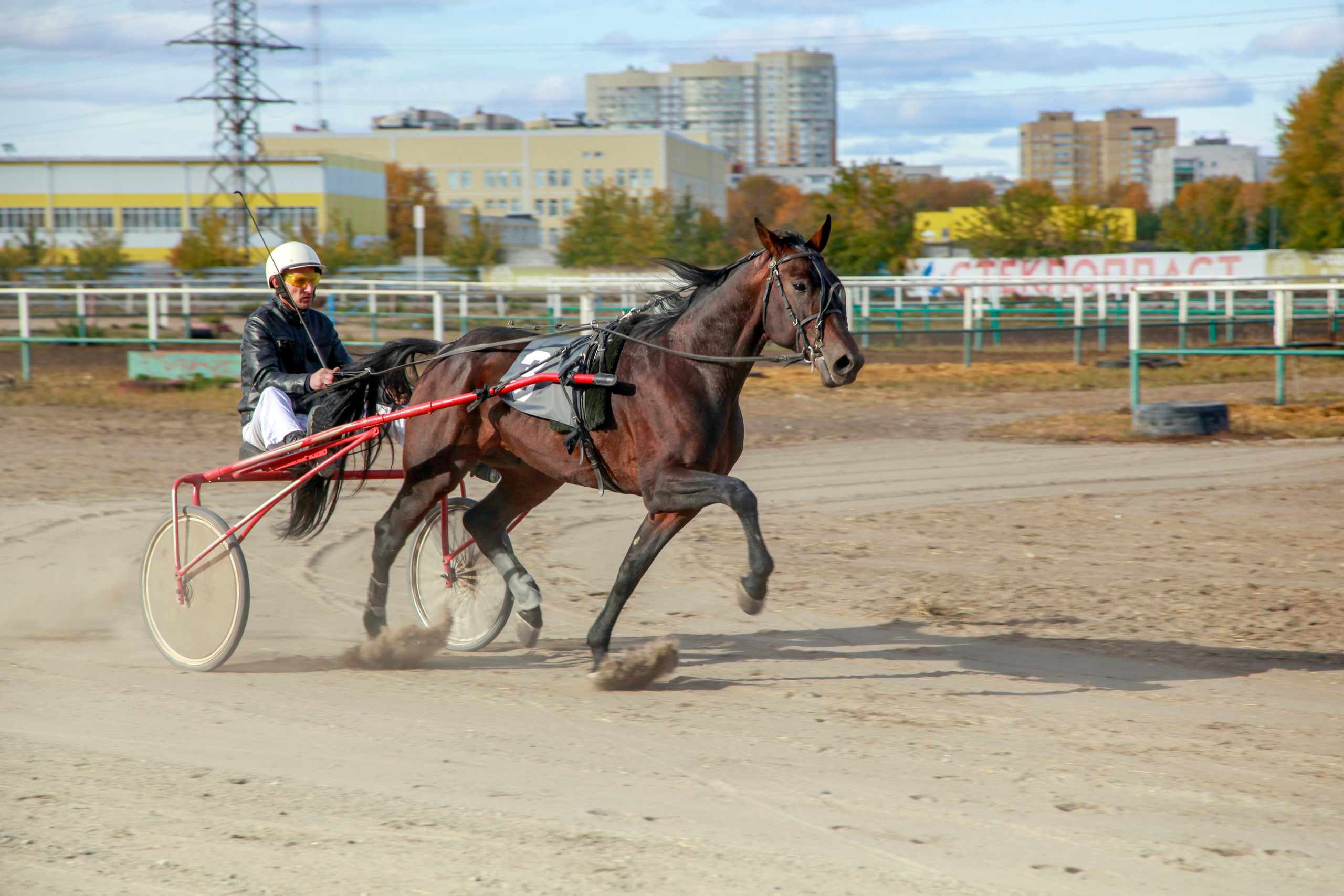Спорт. Репортажный фотограф Анастасия Богданова из Тюмени