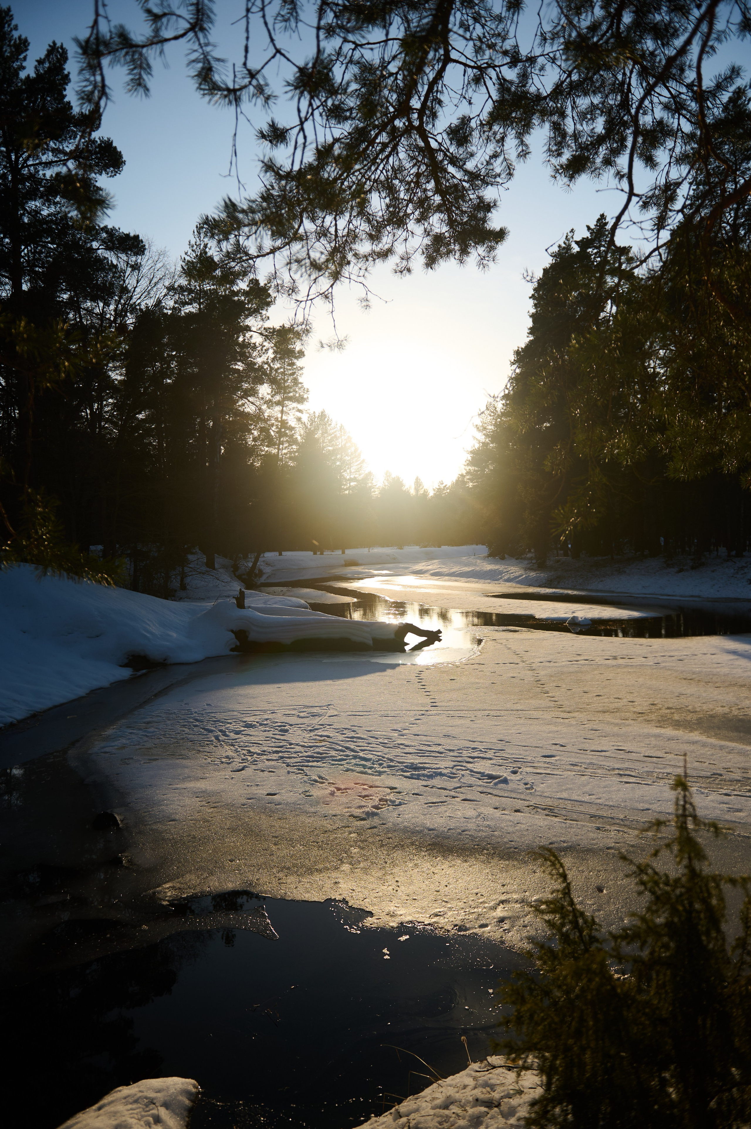 Первый весенний сплав р. Нерская. Главная