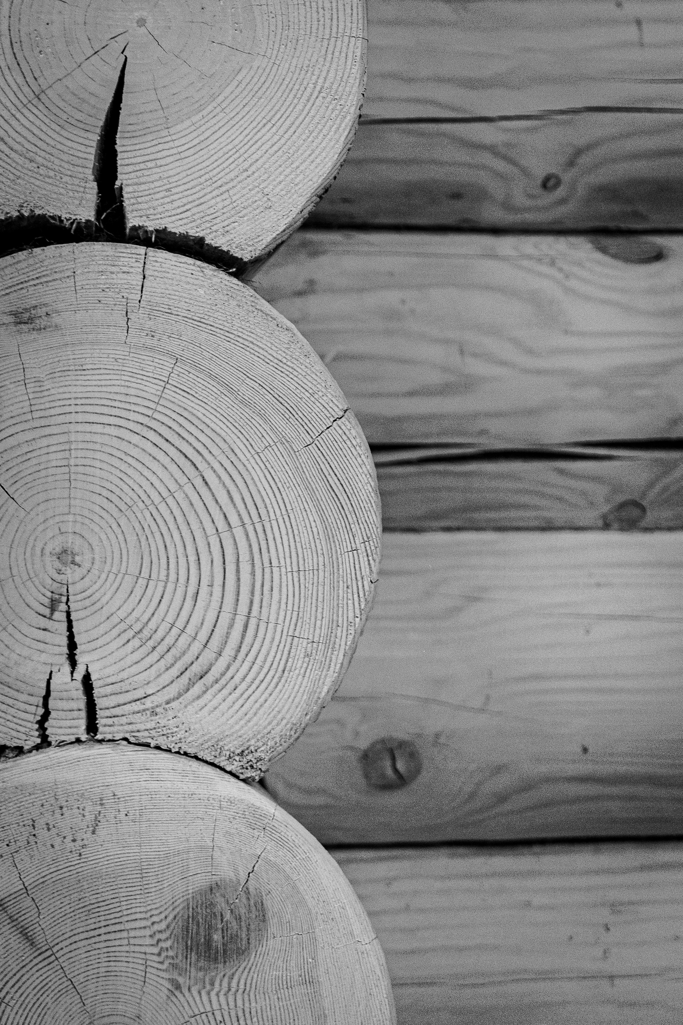 Home. Анастасия Паршукова — фотограф Шерегеш Новосибирск