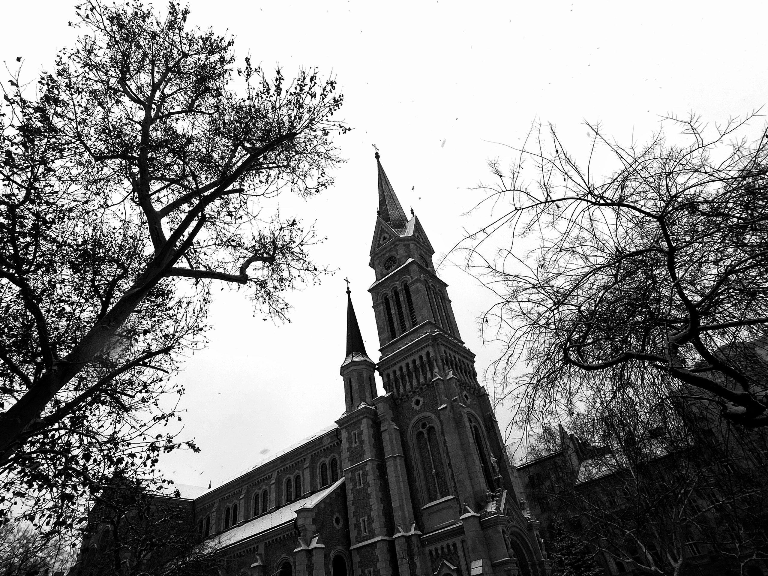 Budapest-ferencvárosi Assisi Szent Ferenc-plébániatemplom